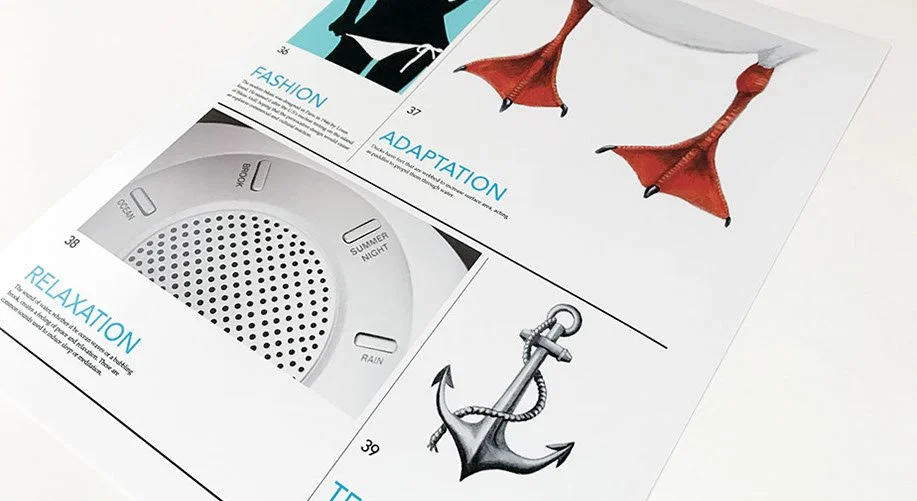 Design, Photography & Illustration