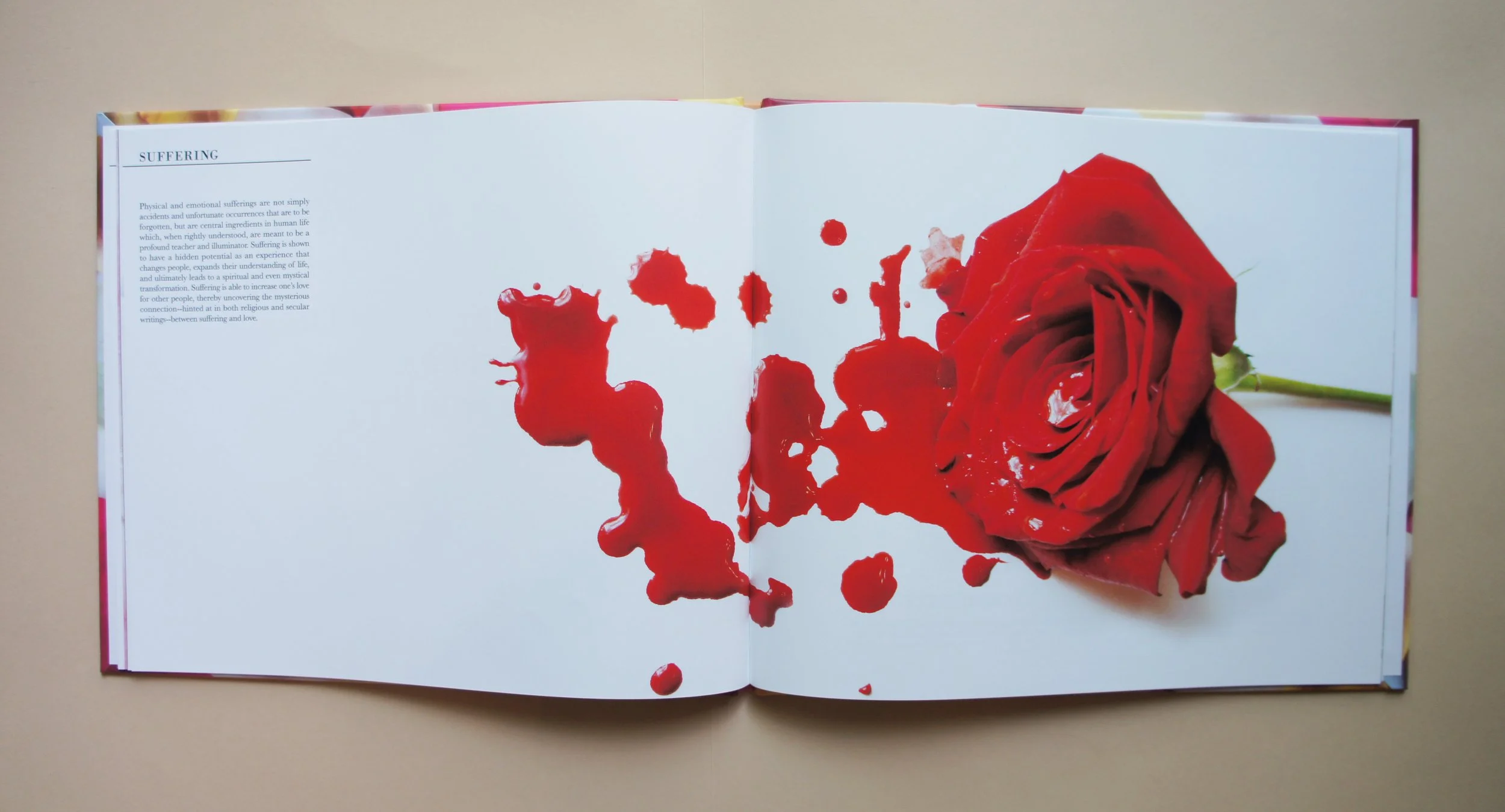 Book Design, Photography, Illustration, Mixed Media