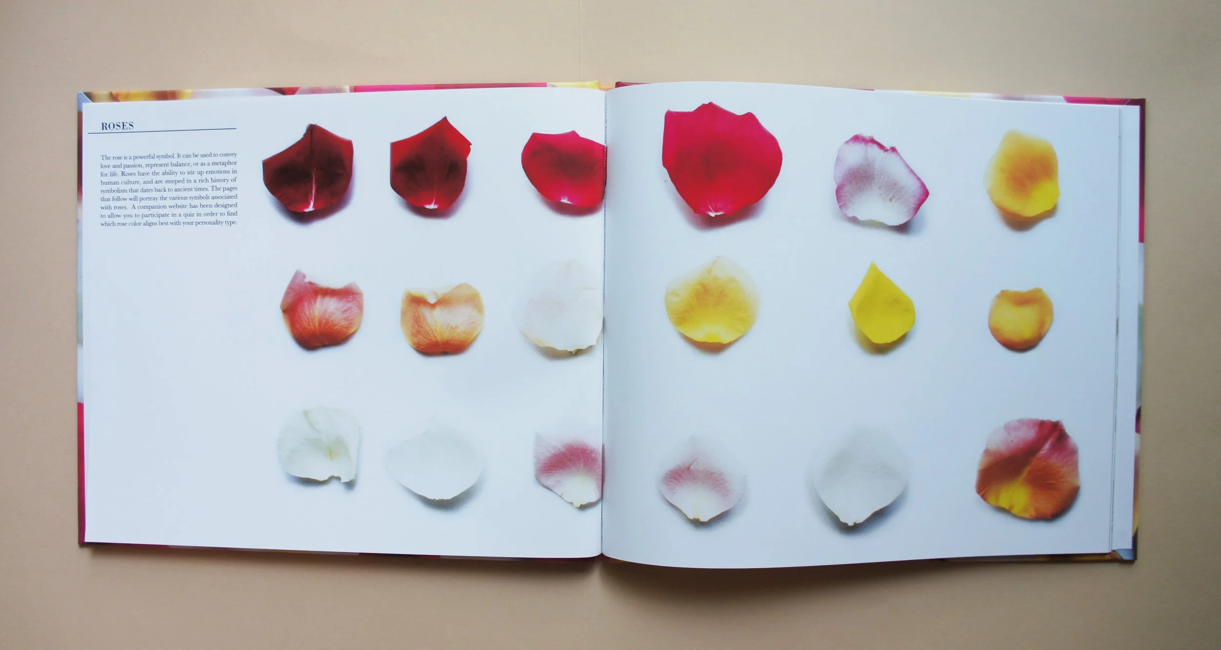 Book Design, Photography, Illustration, Mixed Media