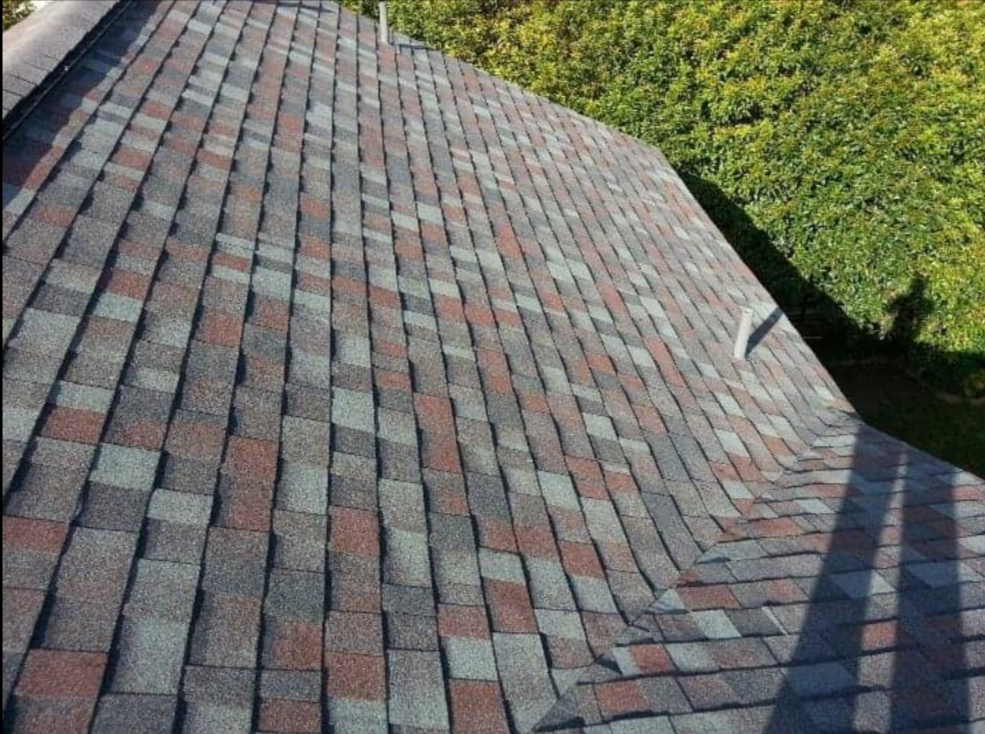 A close-up of a roof with multicolored shingles and a curved shape, next to green trees.