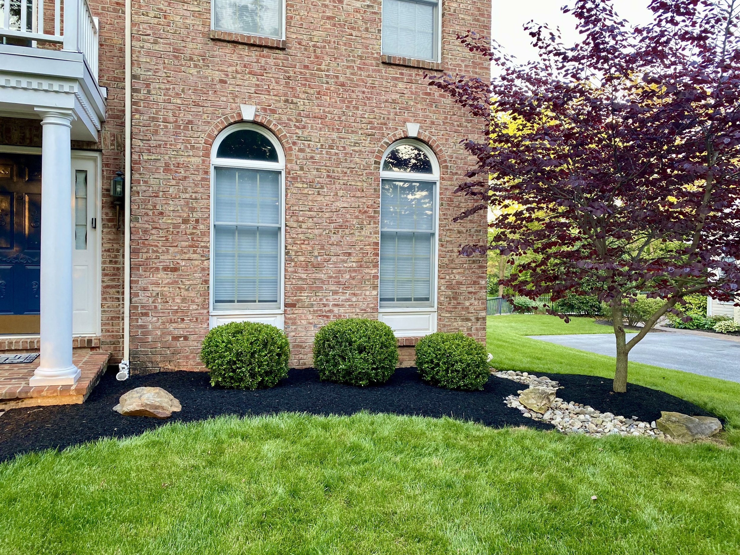 Front yard with green lawn, three trimmed bushes, a small tree with dark red leaves, and a brick house with three windows and a white porch column.