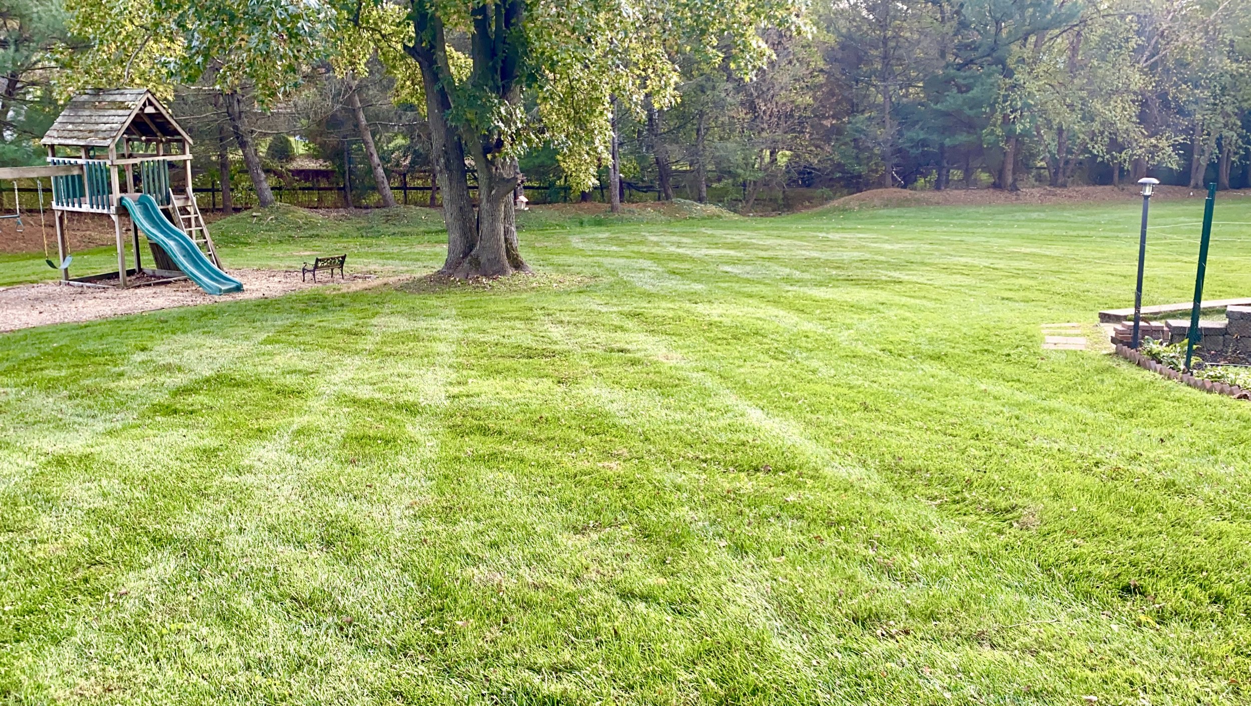 A backyard with a lush, green lawn, a wooden playset with slides, trees, and a small garden bed with a light pole.