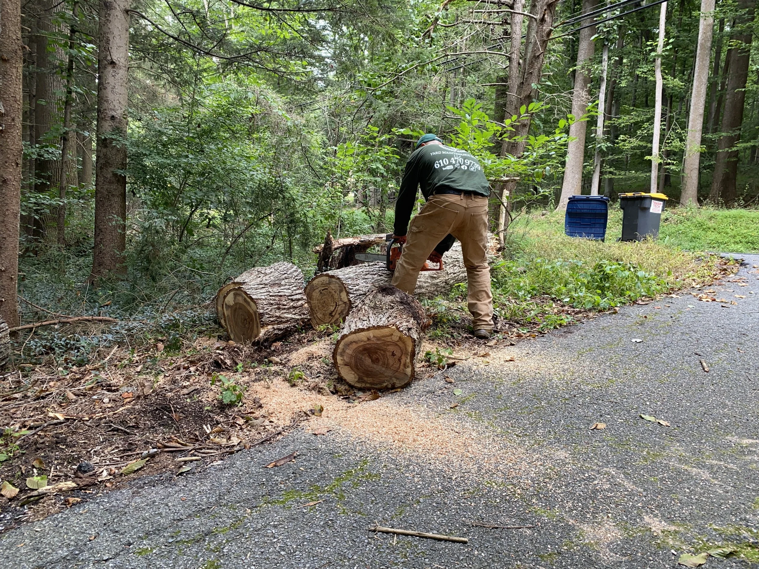 A man wearing a green shirt and tan pants uses a chainsaw to cut a fallen tree on the side of a wooded road, with two trash bins in the background.