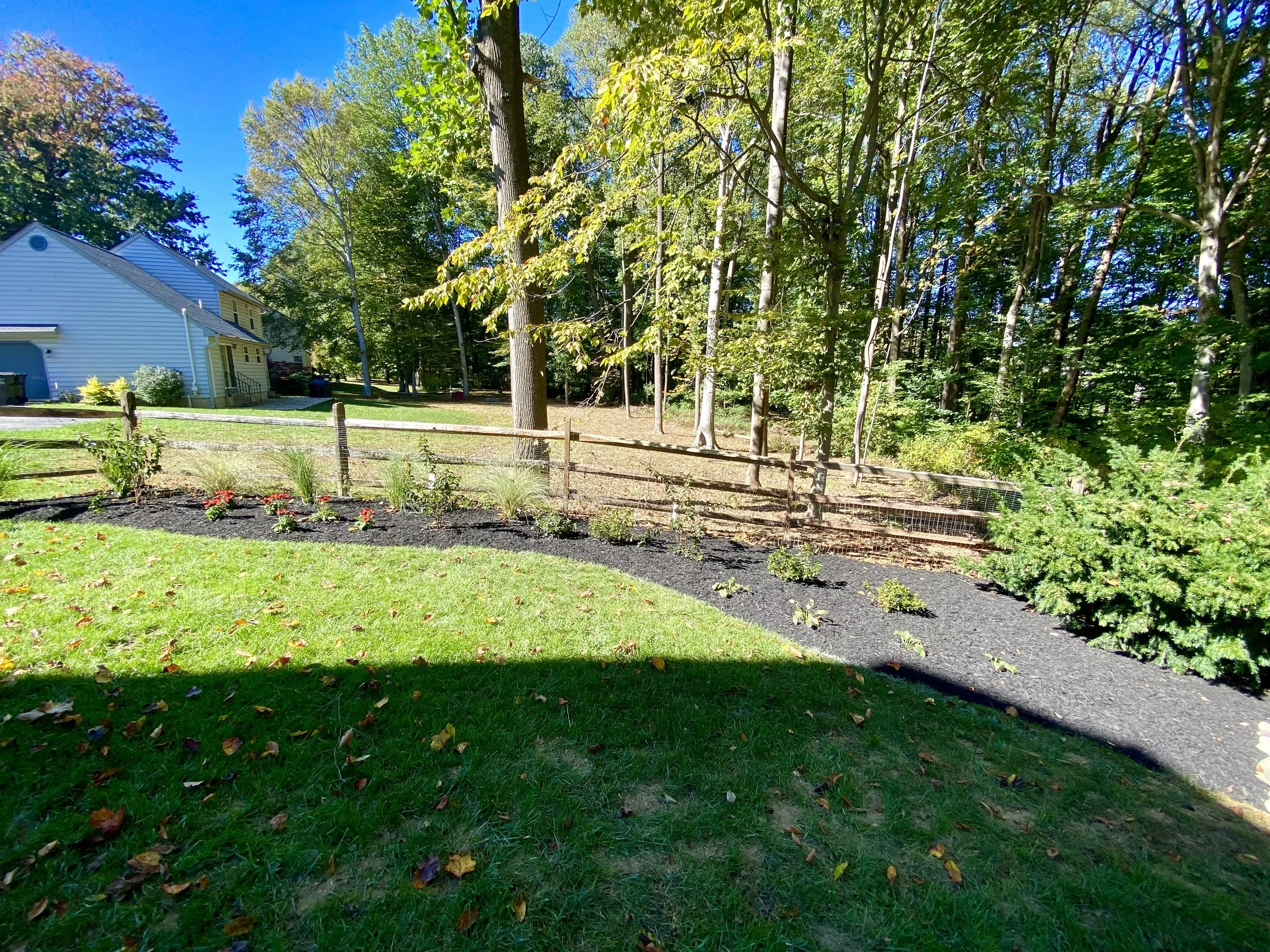 A backyard with a manicured lawn, flower bed, and fence. Trees and a house are visible in the background on a sunny day.