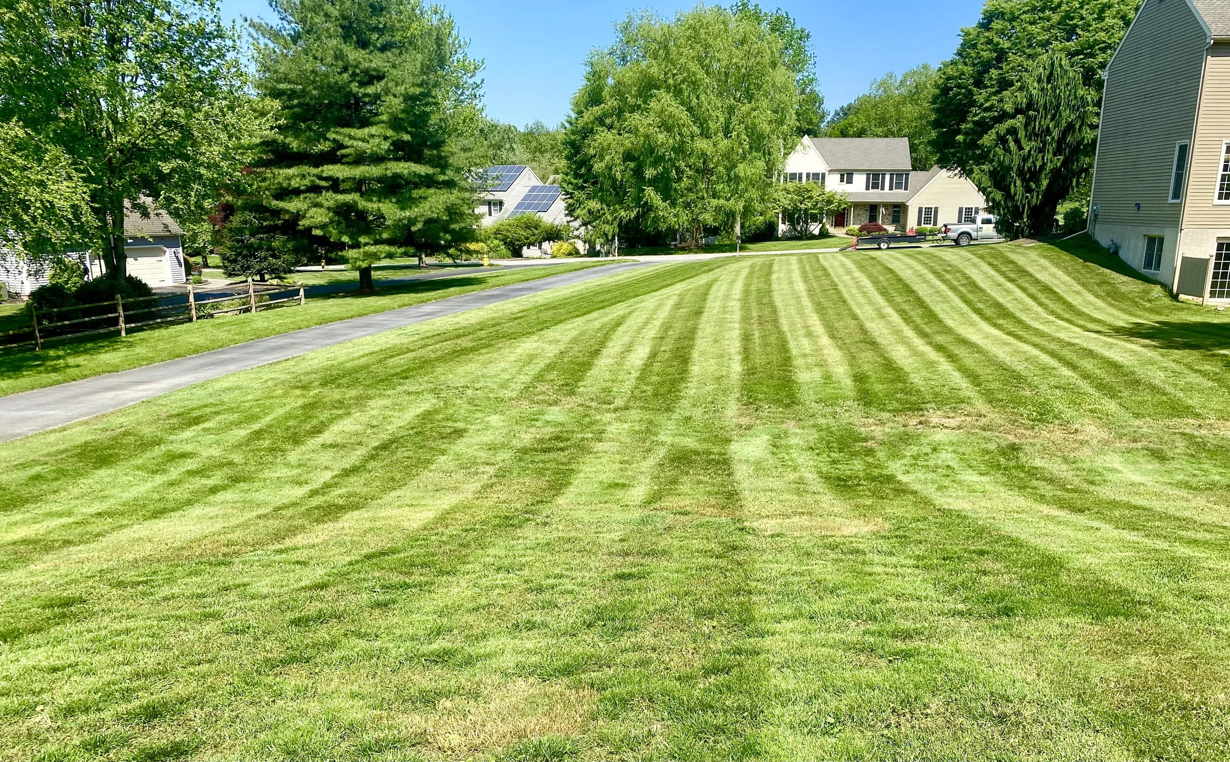 A well-maintained grassy yard with alternating light and dark green stripes, adjacent to a paved pathway, with trees and suburban houses in the background on a sunny day.