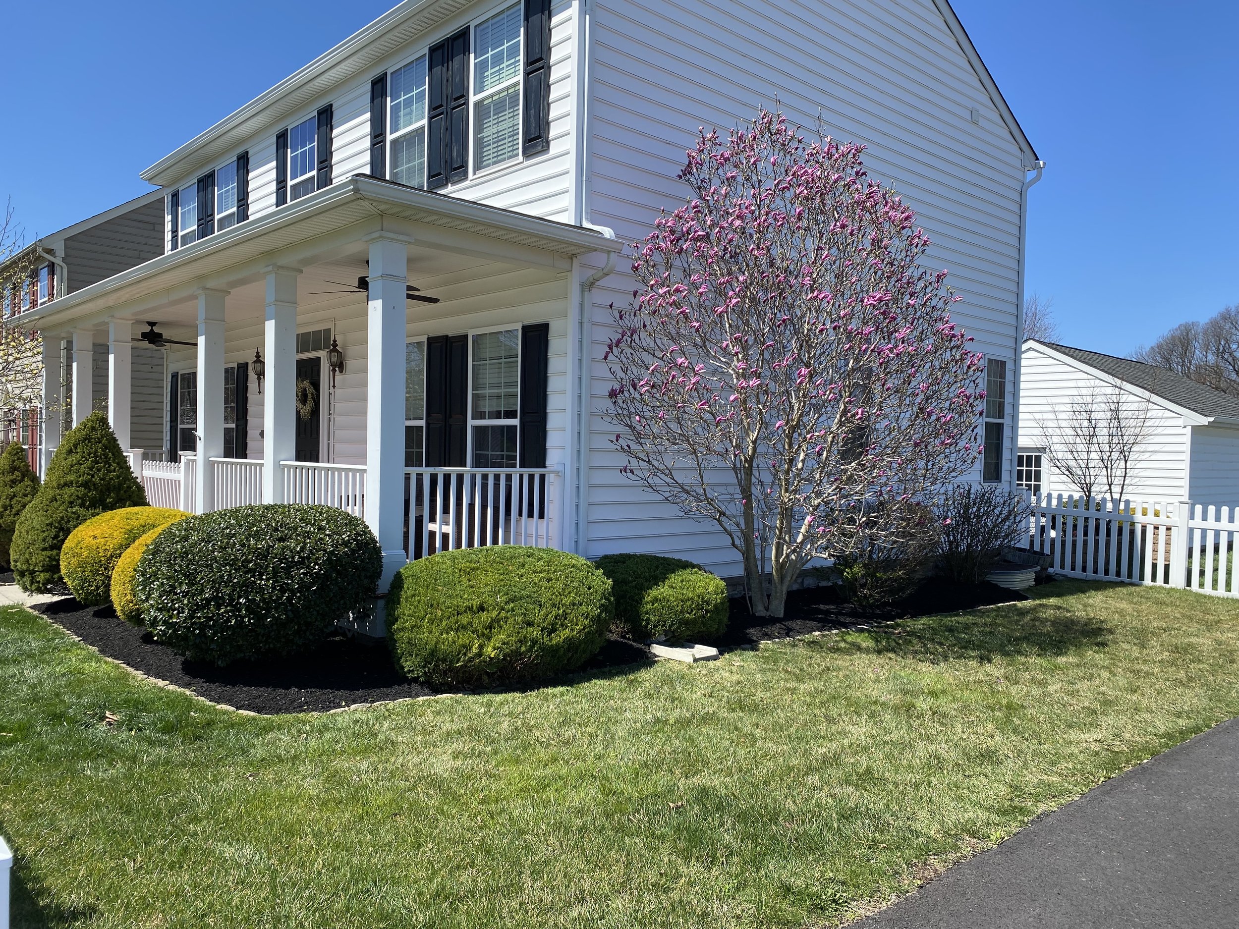 White two-story house with a front porch, black shutters, and a white picket fence. A blooming pink magnolia tree is in front, with neatly trimmed shrubs and a well-maintained lawn.