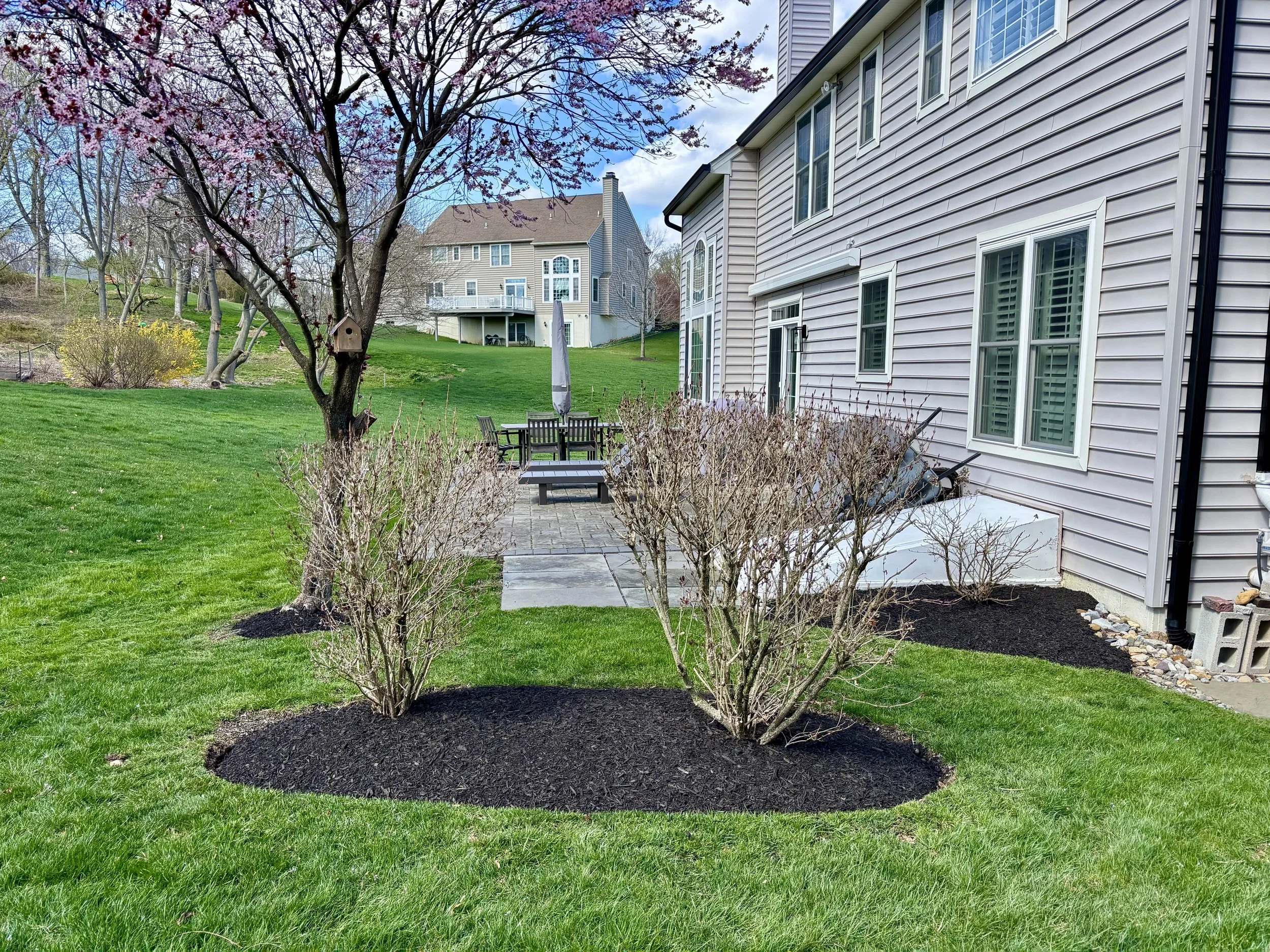Backyard with manicured lawn, trimmed bushes, a blooming pink tree, patio furniture, and neighboring houses on a cloudy day