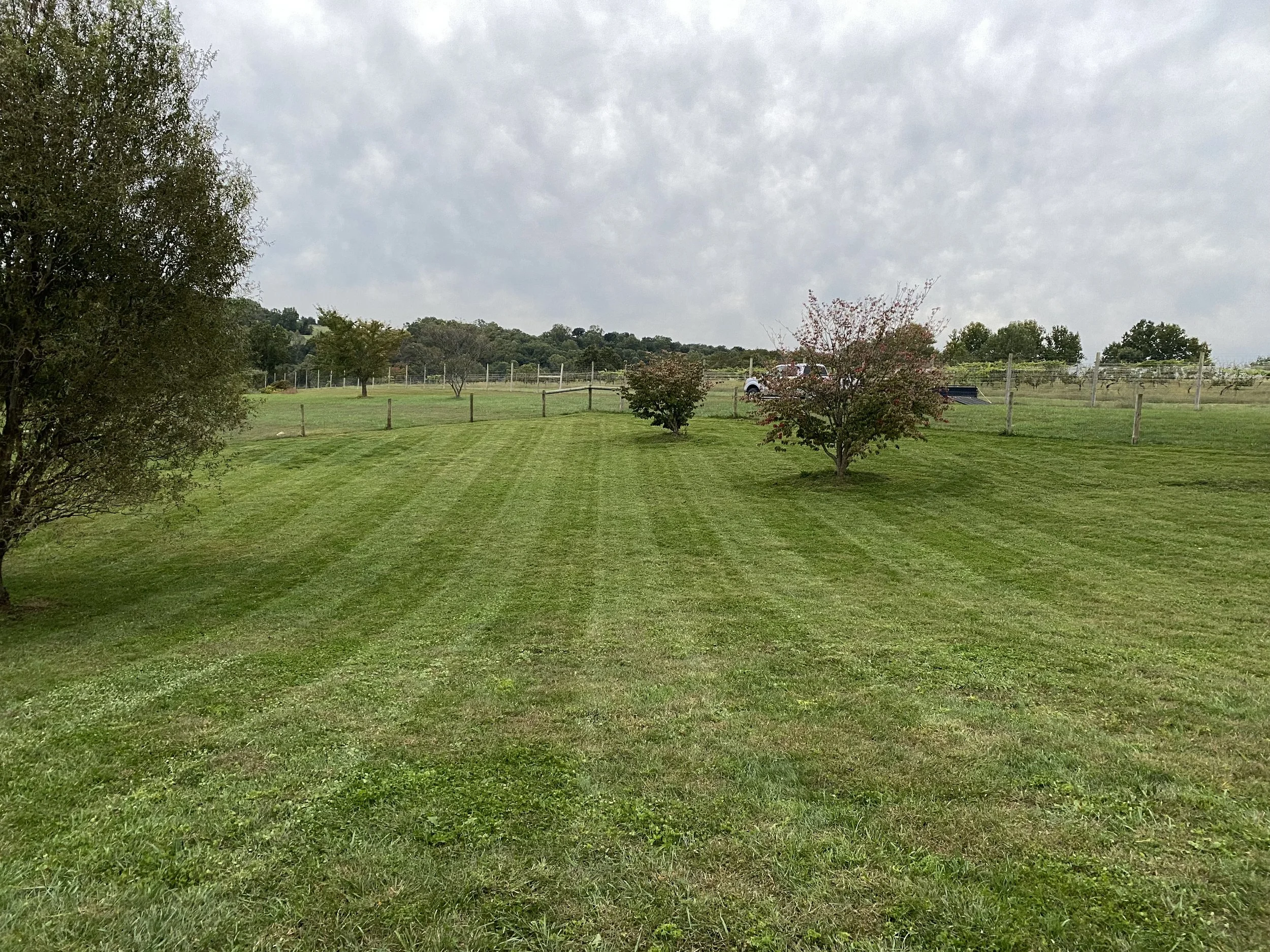 A lush green grassy field with mowed stripes, a few trees, and a cloudy sky. In the distance, a vehicle is parked near a fence.