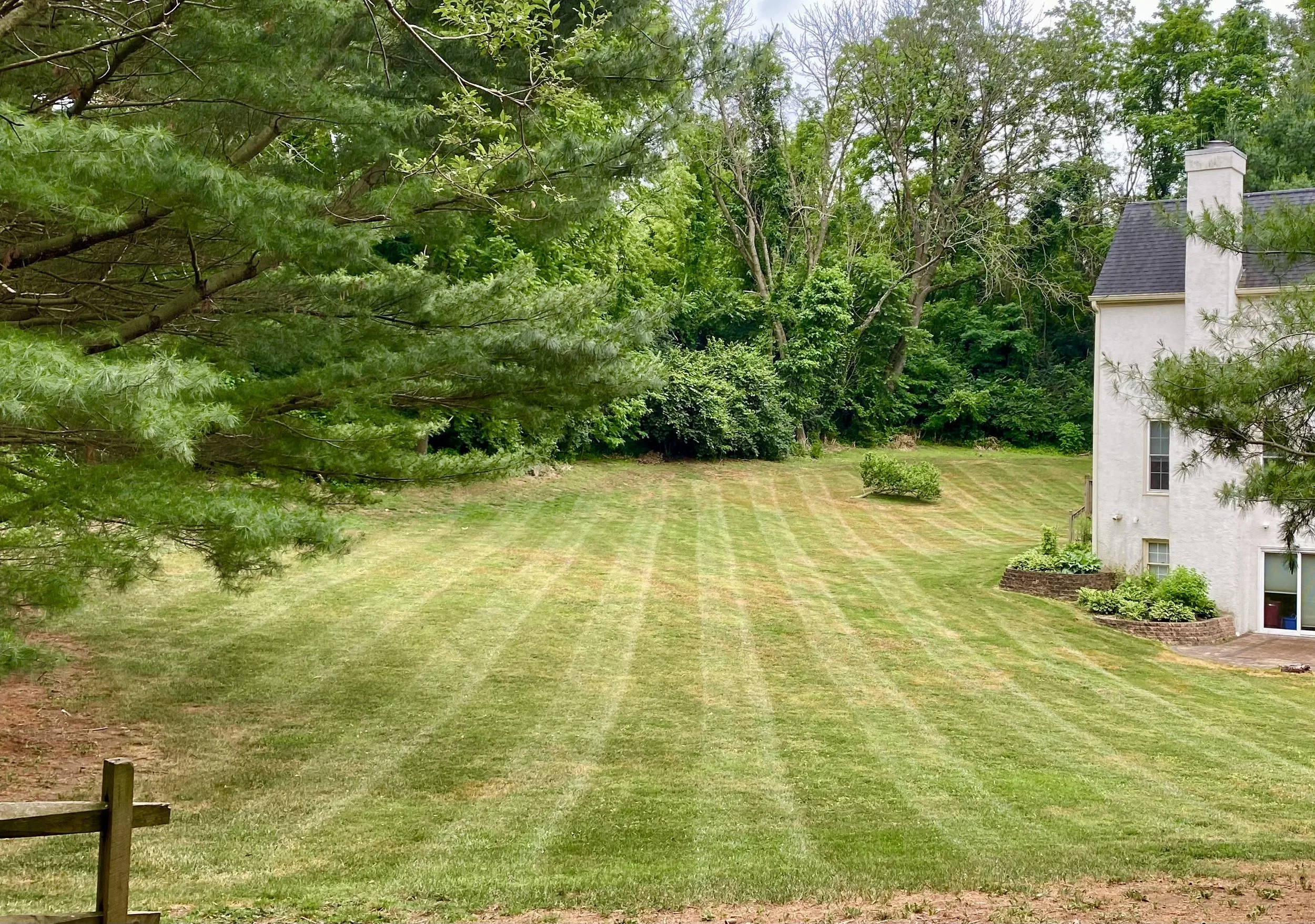 A backyard with a well-maintained, striped lawn, trees along the perimeter, and part of a white house with a chimney and garden beds.
