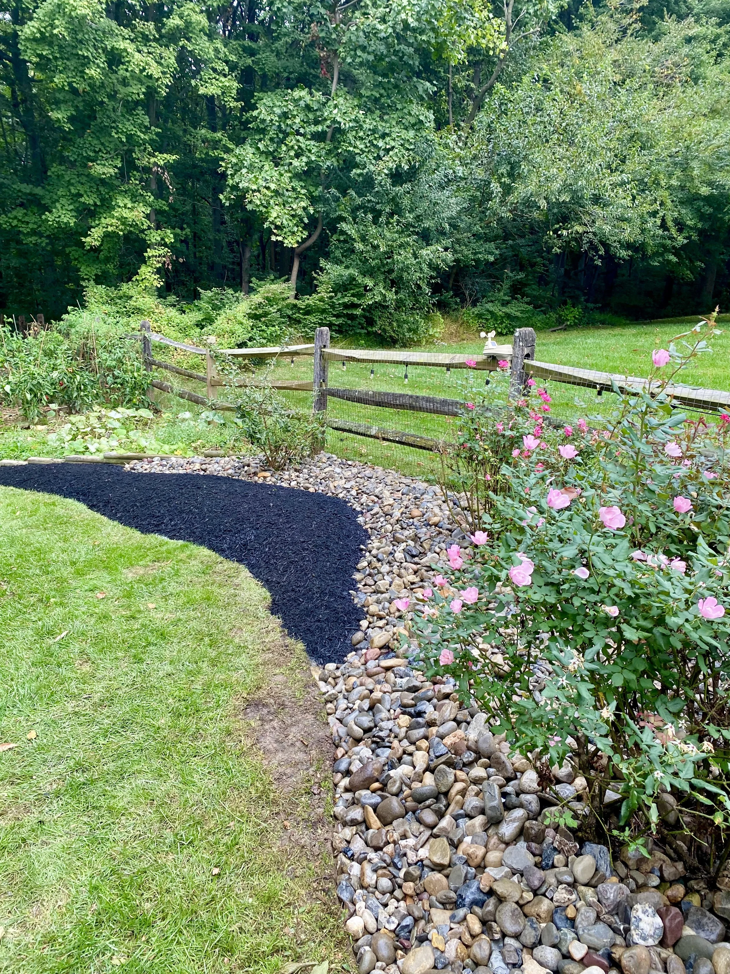 A landscaped backyard with green grass, a curved black mulch bed, rocks lining the bed, blooming pink flowers, and a wooden fence with a string of lights, with dense trees in the background.