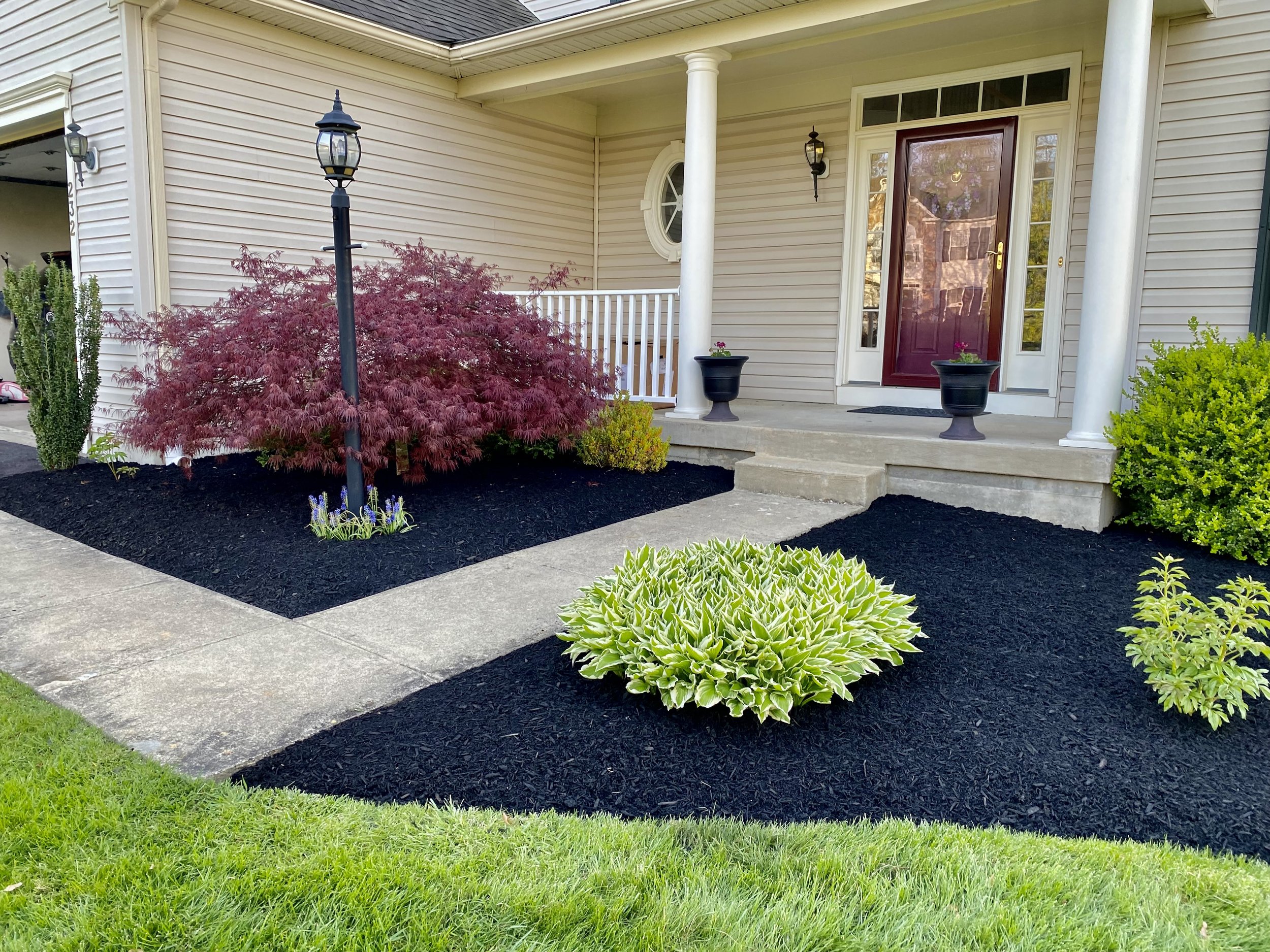 Front porch of a house with a red door, two black planters, a lamp post, a small side plant with purple flowers, and landscaped garden beds with various bushes and mulch.