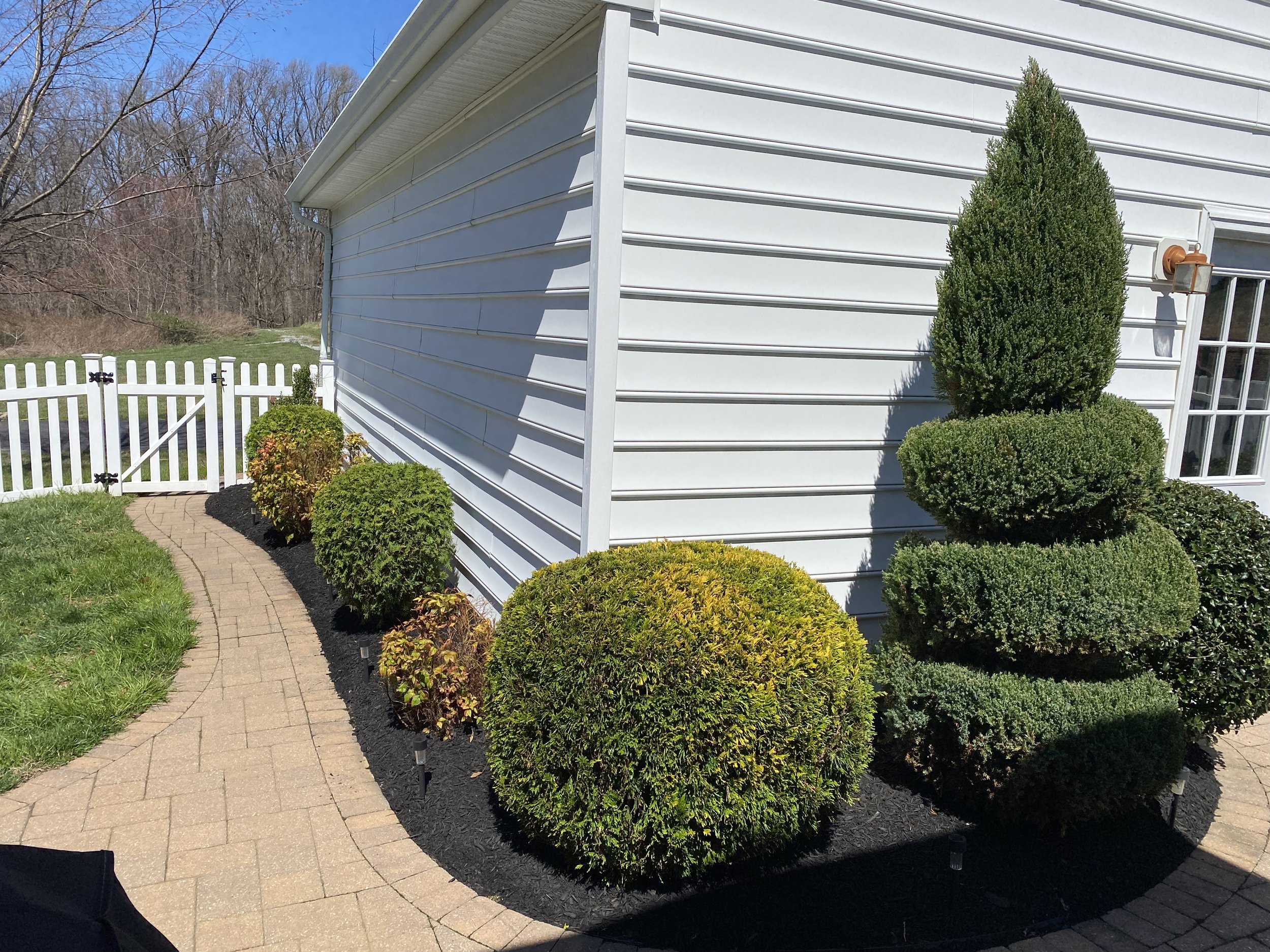 A white house with horizontal siding, a landscaped yard with surround black mulch, trimmed bushes, a curved brick walkway, a white picket fence, and leafless trees in the background on a bright, sunny day.