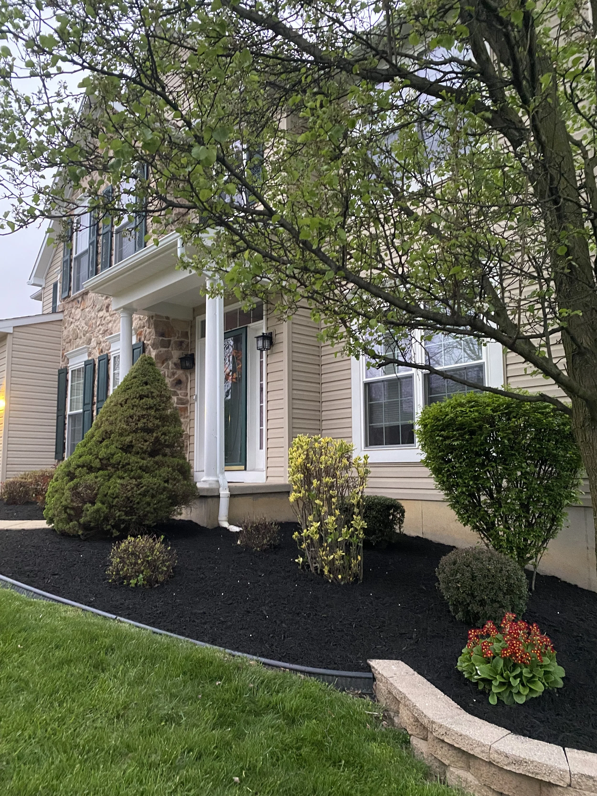Front yard of a house with shrubs, bushes, and flowering plants, with a large tree and part of the house's exterior including windows and a porch, during daytime.
