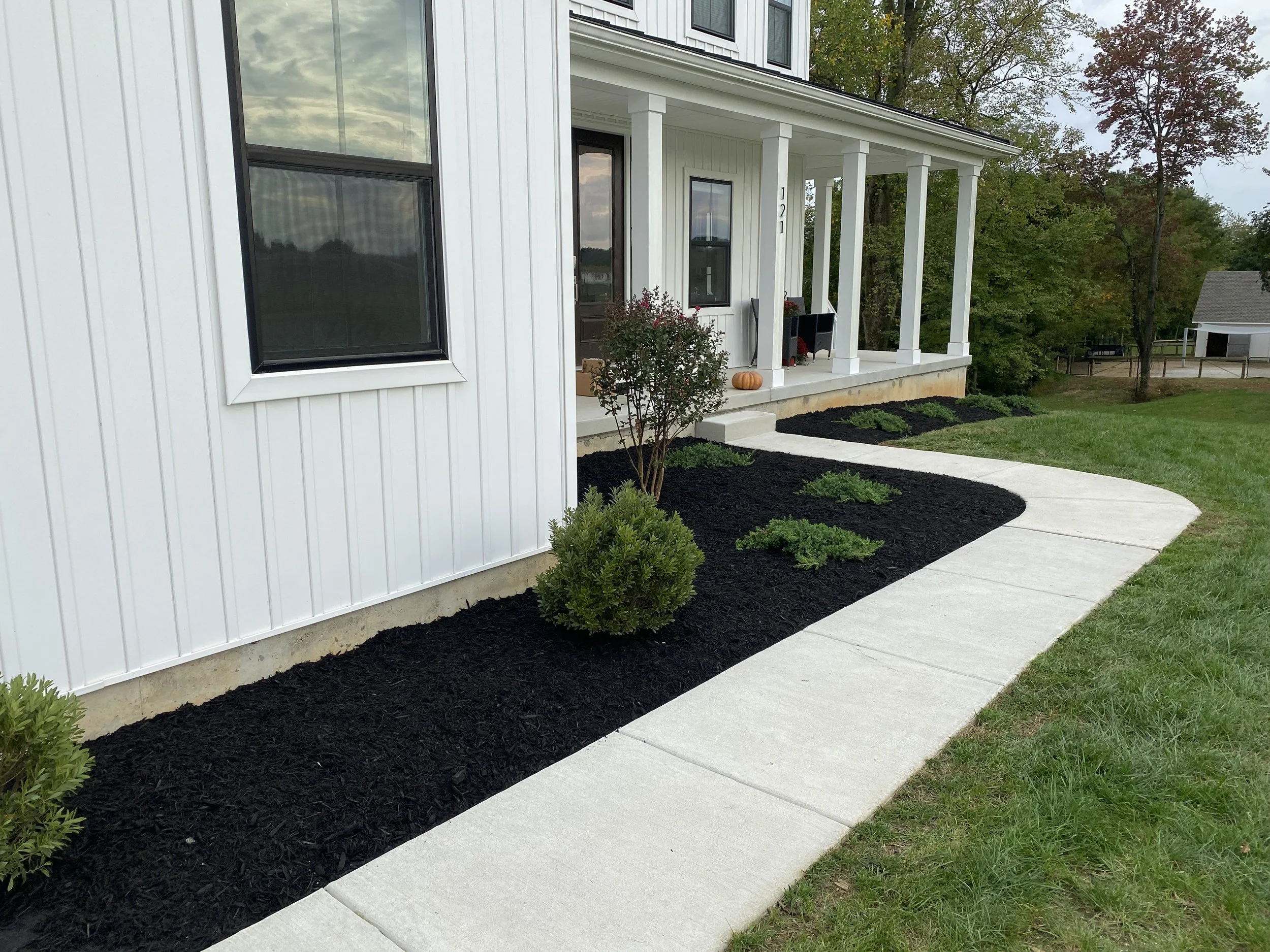 Front porch and pathway of a house with white siding, black window frames, and columns, surrounded by a landscaped yard with mulch and small bushes.