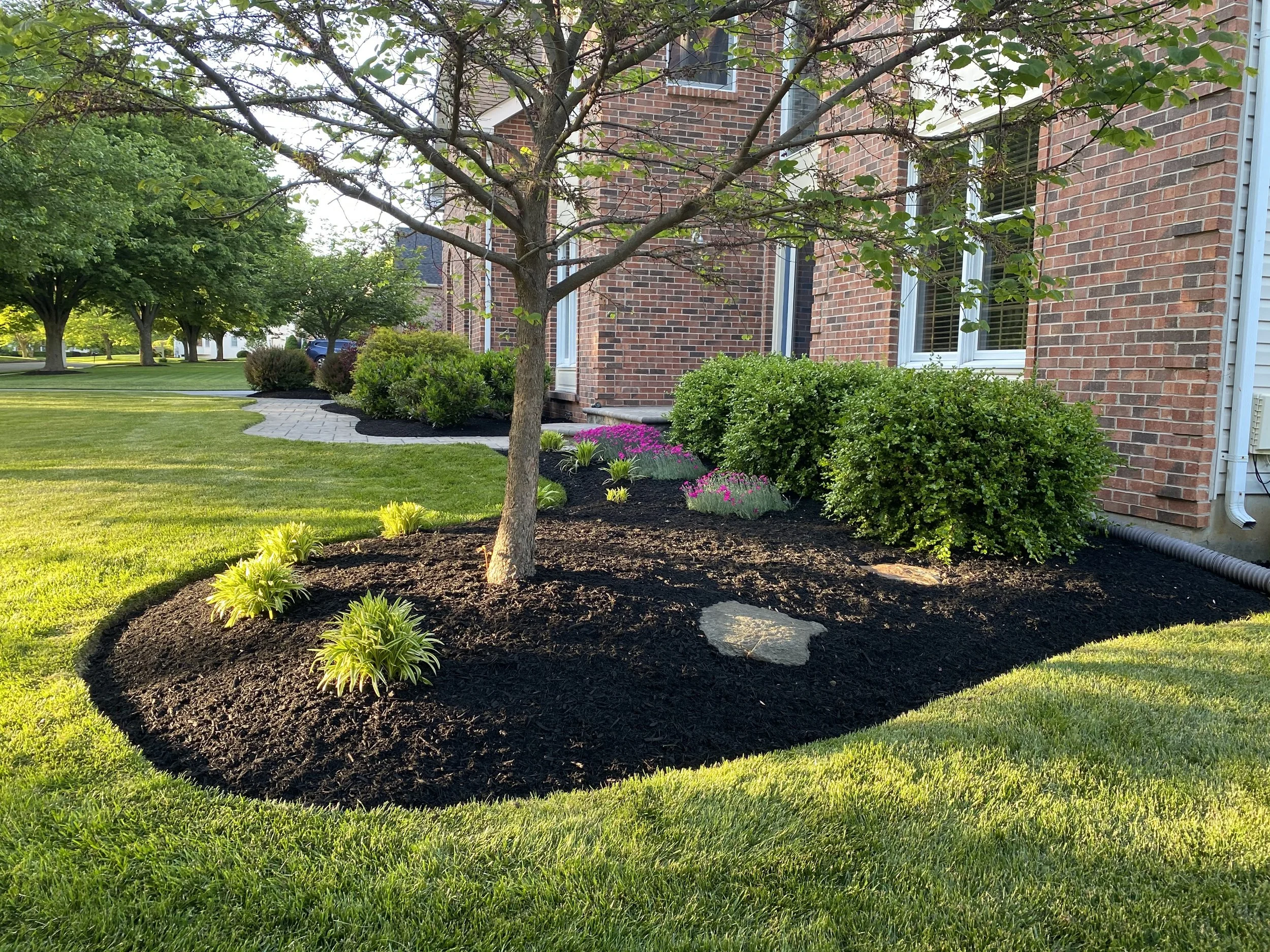Landscape view of a well-maintained front yard with a brick house, including a tree, bushes, and freshly mulched flower beds with pink and green plants. A stone pathway is visible in the background.