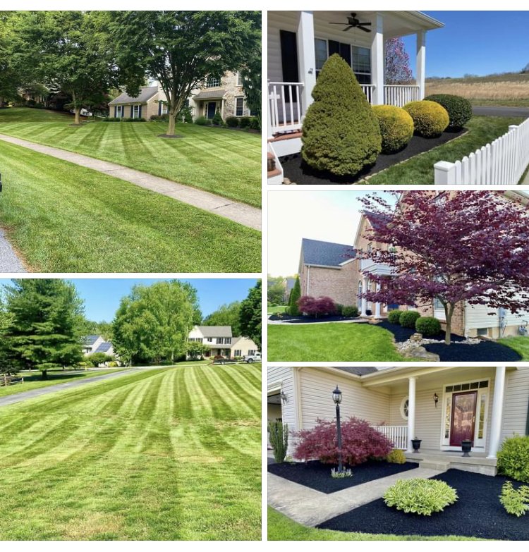 Six images showing well-maintained lawns and landscaped yards of residential homes with trees, shrubs, and garden beds.