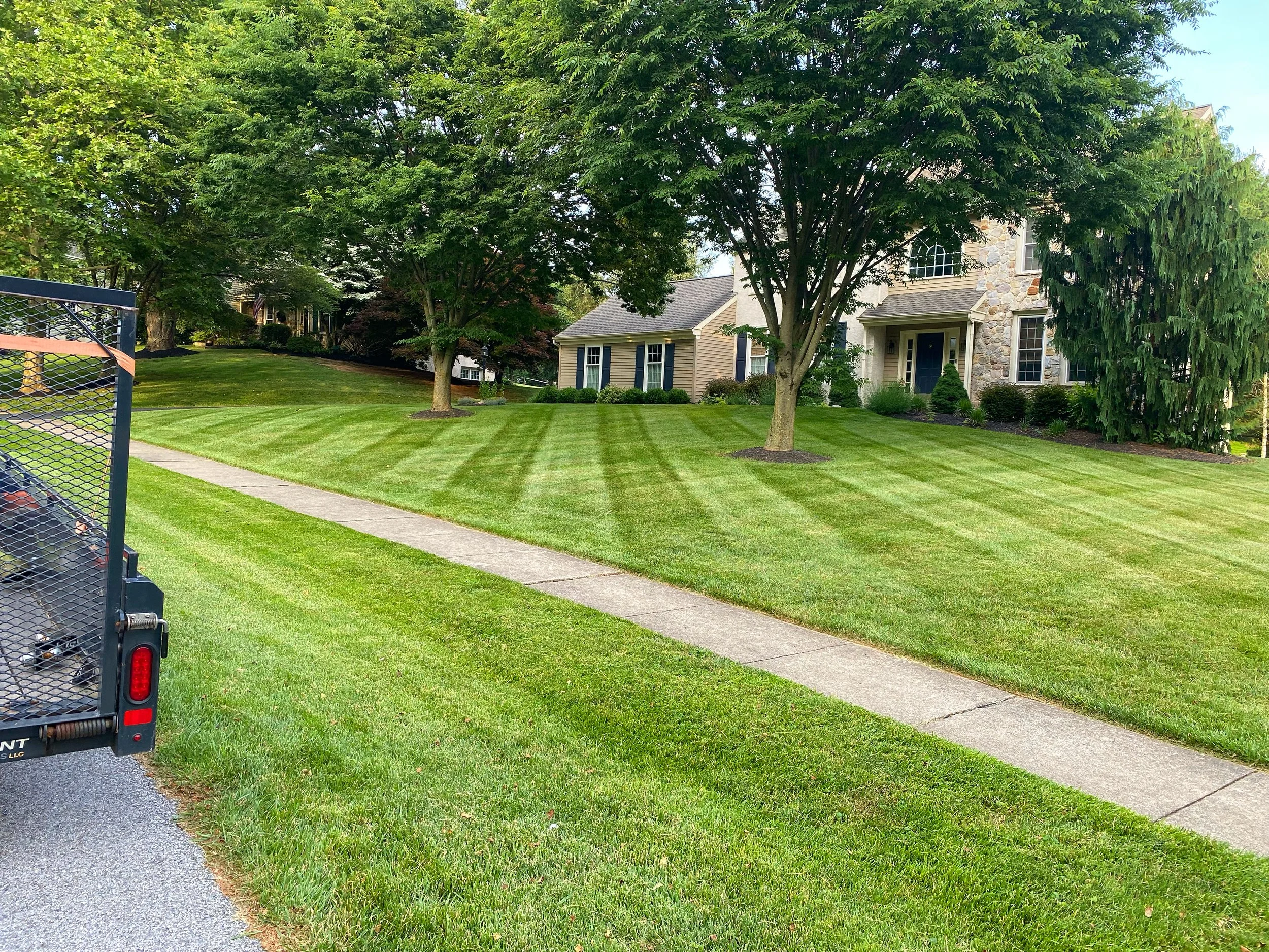 A well-maintained front yard with striped green grass, two large trees, a concrete sidewalk, and a house with stone and beige siding, surrounded by shrubs and a large evergreen tree.