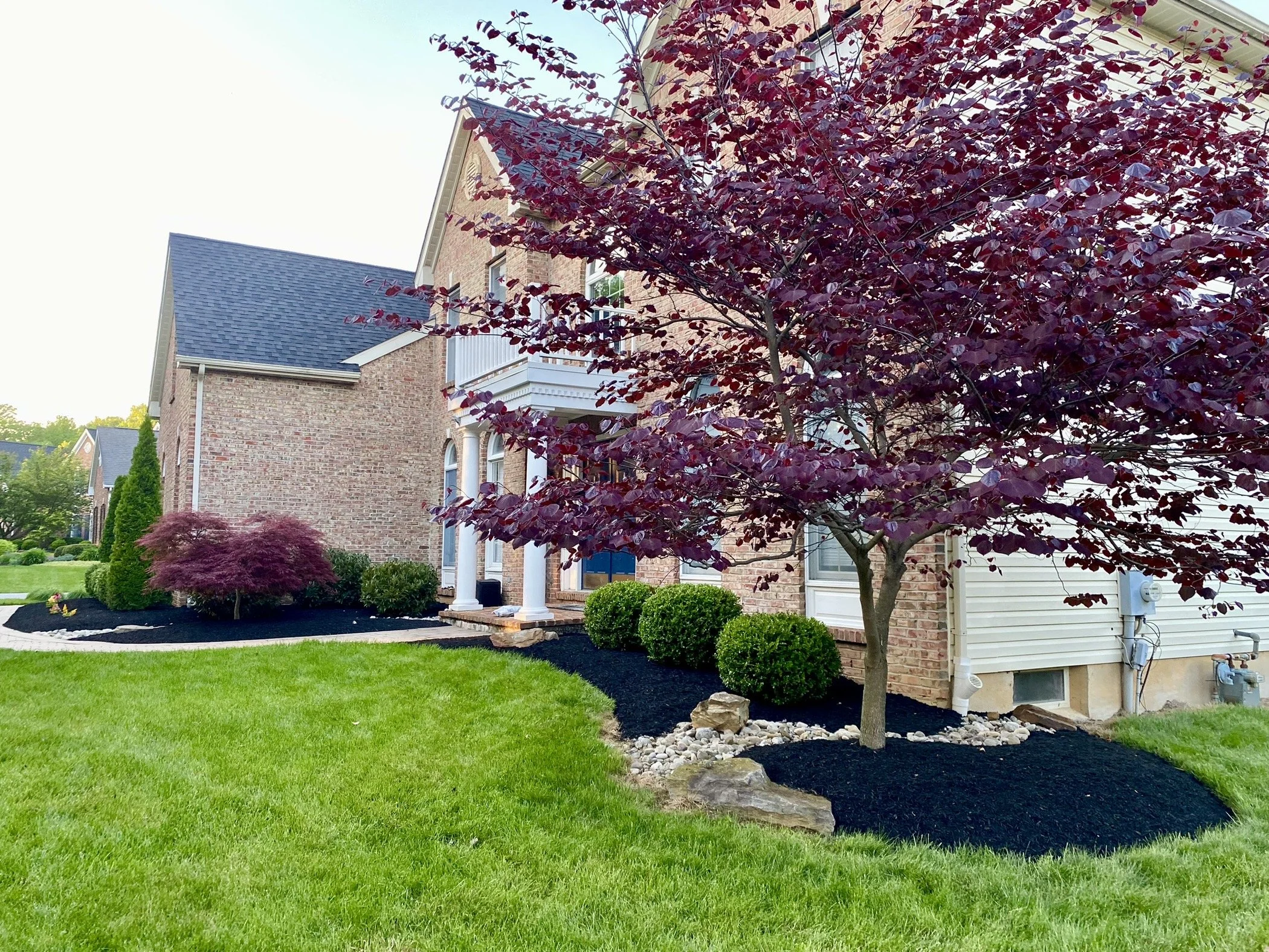 A suburban house with a well-maintained front yard featuring a large red-leafed tree, smaller bushes, rocks, and mulch, with a green lawn in the foreground.