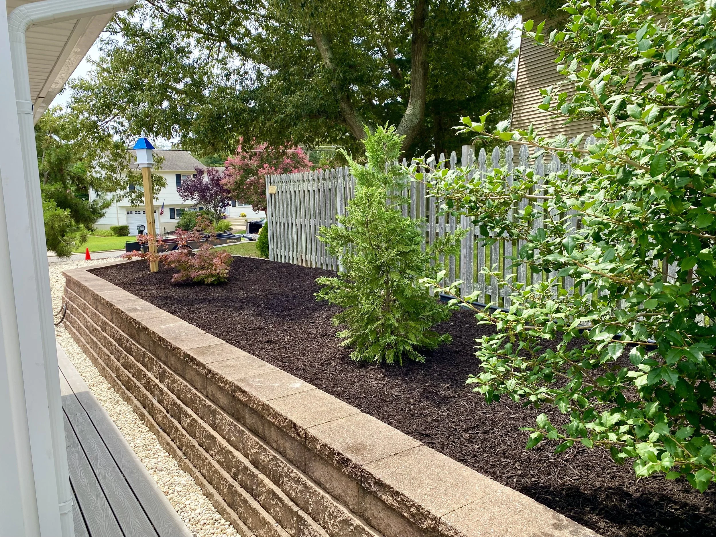 A backyard garden bed with dark mulch, bordered by a beige brick wall, containing small green trees and shrubs, with a white picket fence, trees, and houses in the background.