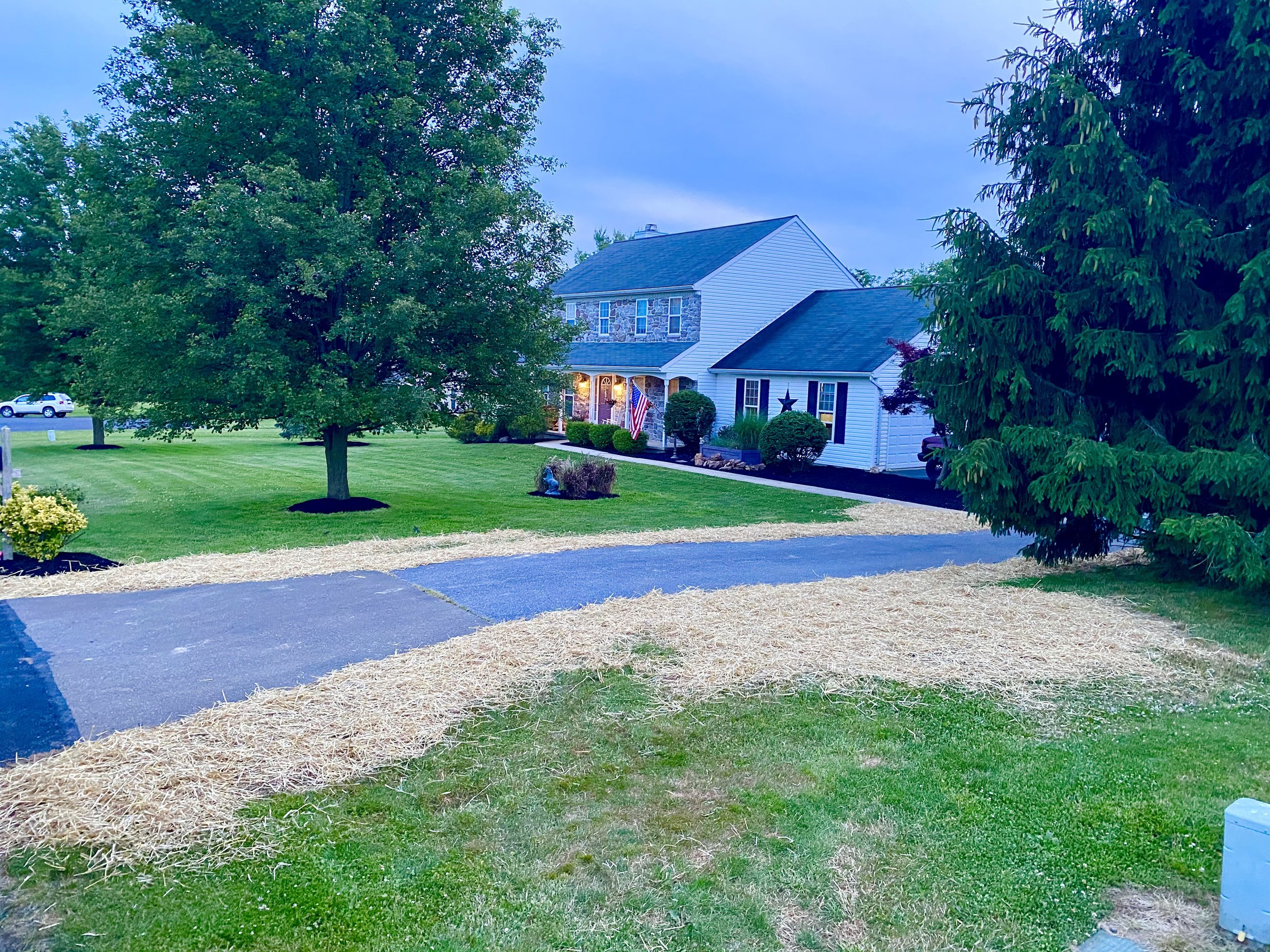 A well-maintained front yard of a house with a large tree, a smaller tree, and various shrubs, with a driveway leading up to the house. The house has white siding, a porch with lights, and American flags, with a cloudy sky overhead.