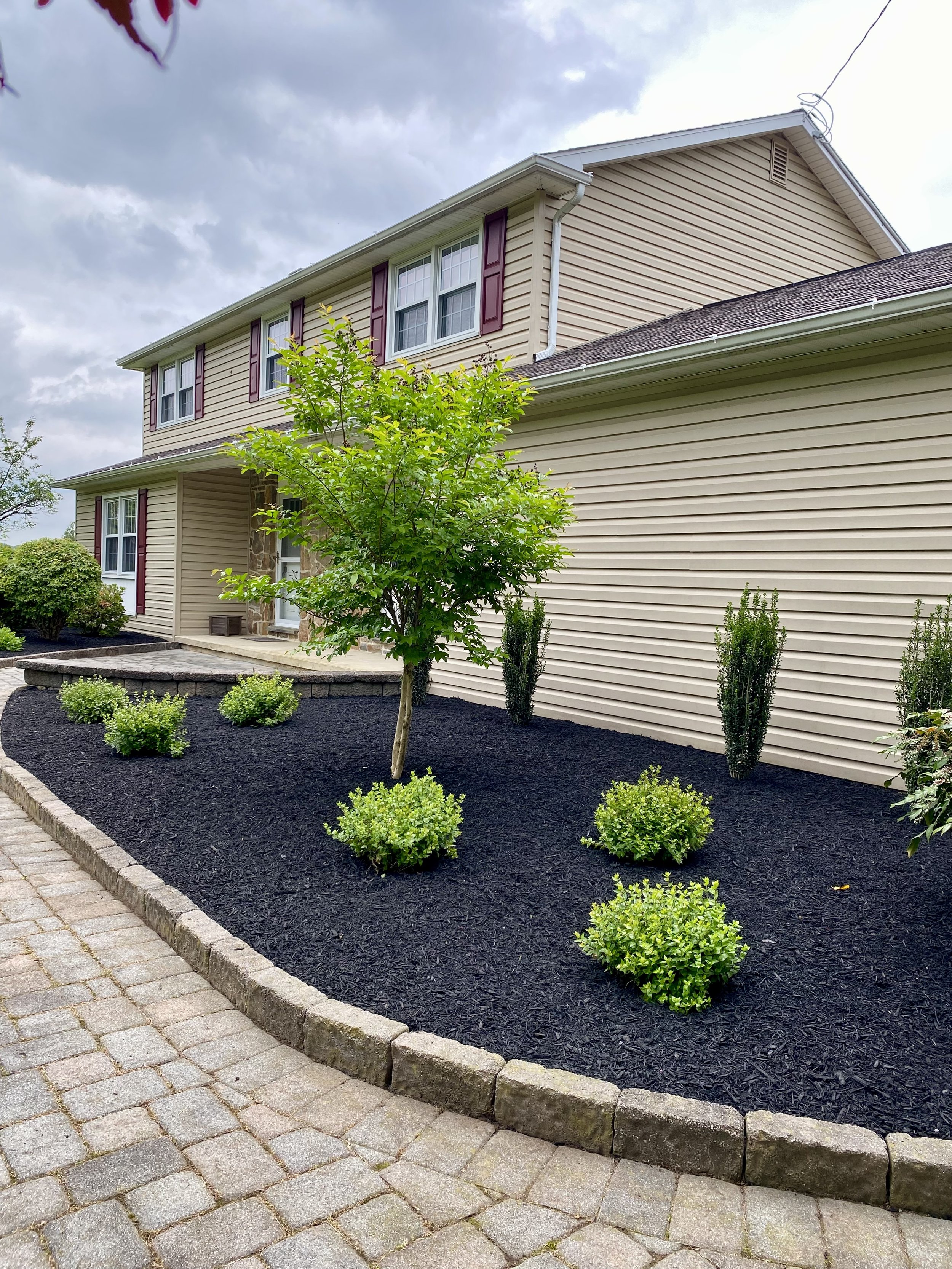 A landscaped front yard with a young tree, small shrubs, and dark mulch, bordered by a brick walkway and the beige exterior of a two-story house with maroon window shutters.