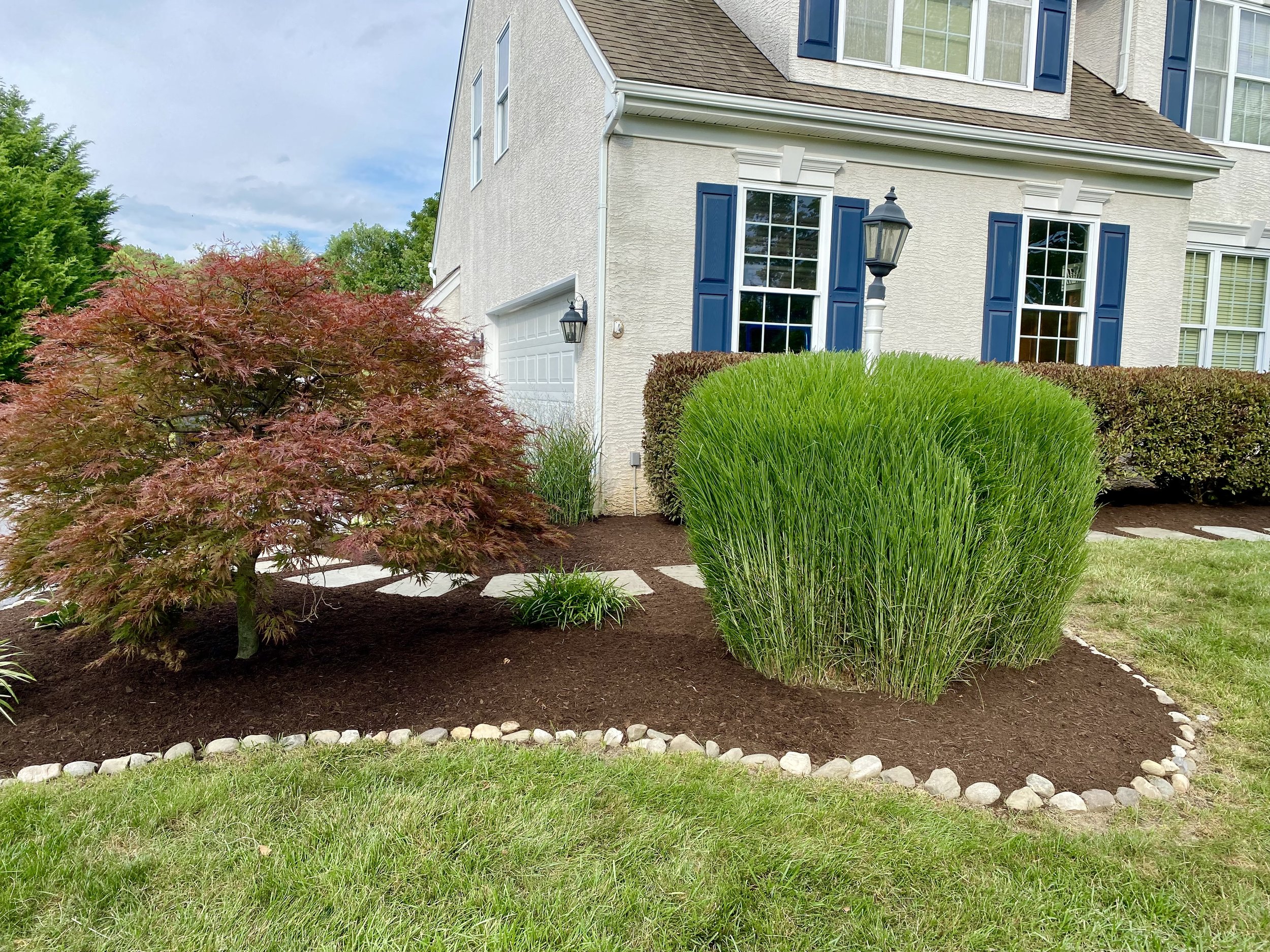 A well-maintained front yard with a red maple tree, a large green shrub, and a decorative rock border, in front of a white house with blue shutters and a street lamp.