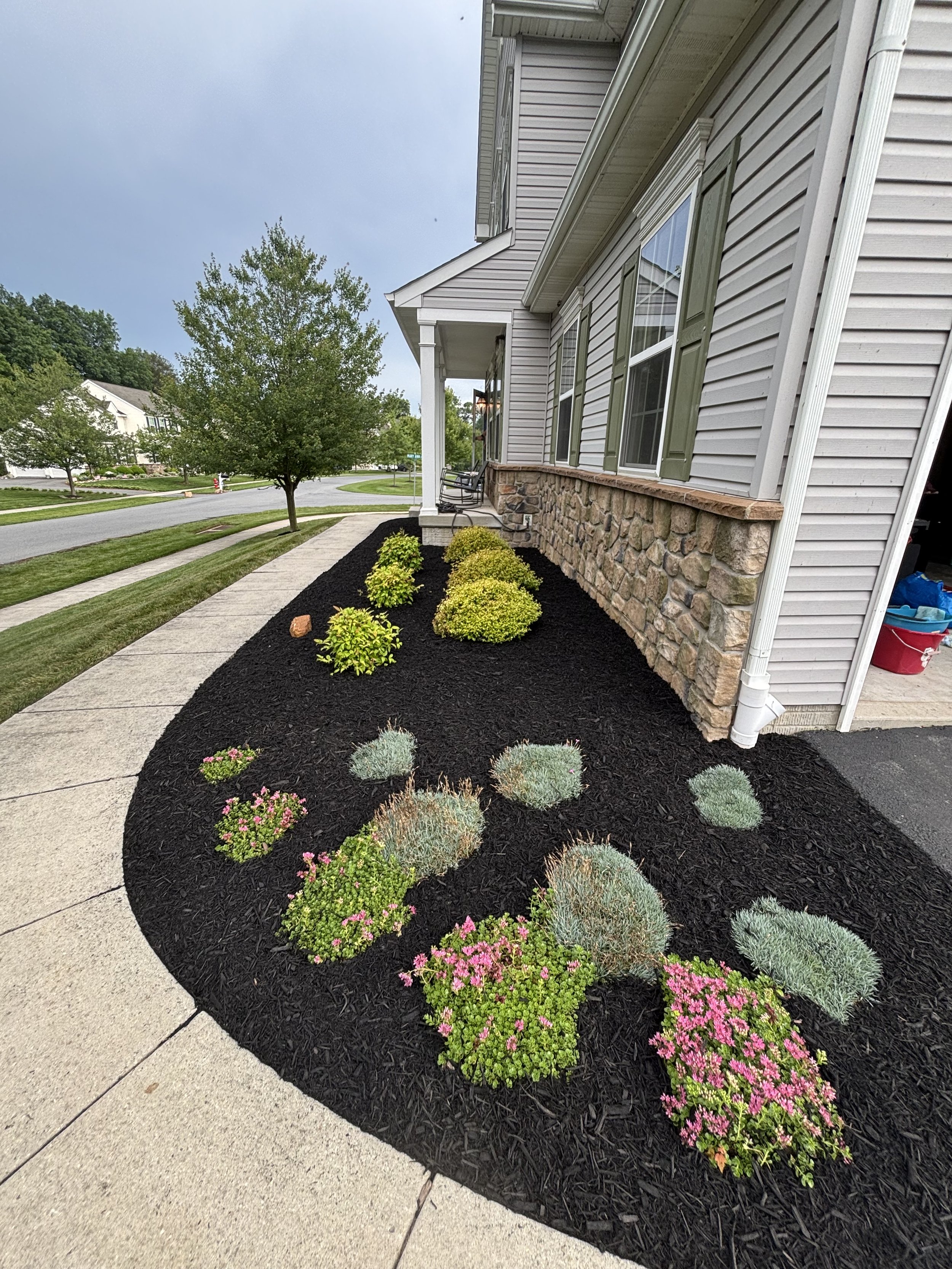 Landscape of a residential house with a well-maintained garden, plants, mulch, sidewalk, and tree in a neighborhood.