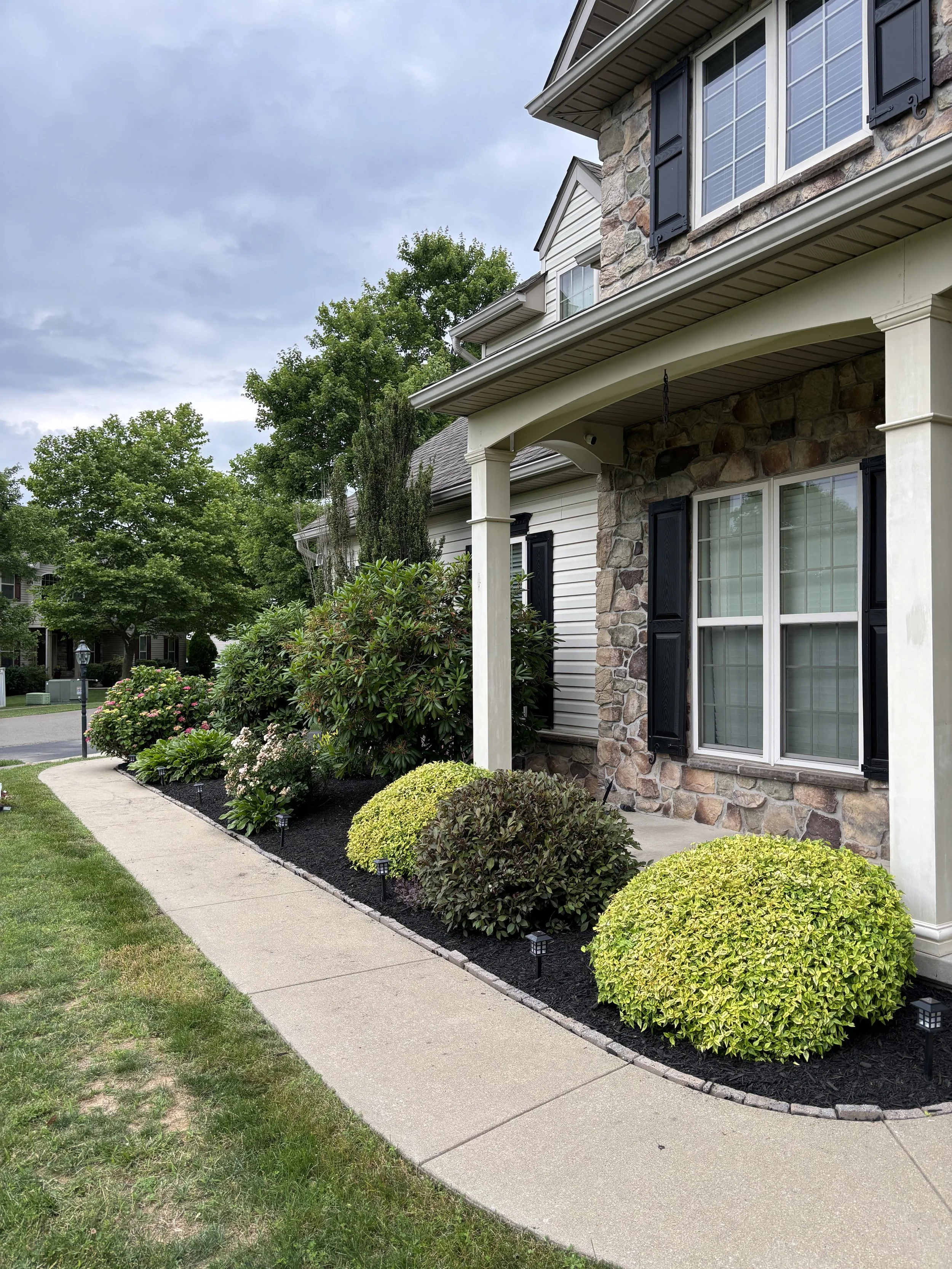 Front yard landscaping with manicured bushes, flowering plants, mulch, a concrete walkway, and a house with stone and siding exterior.