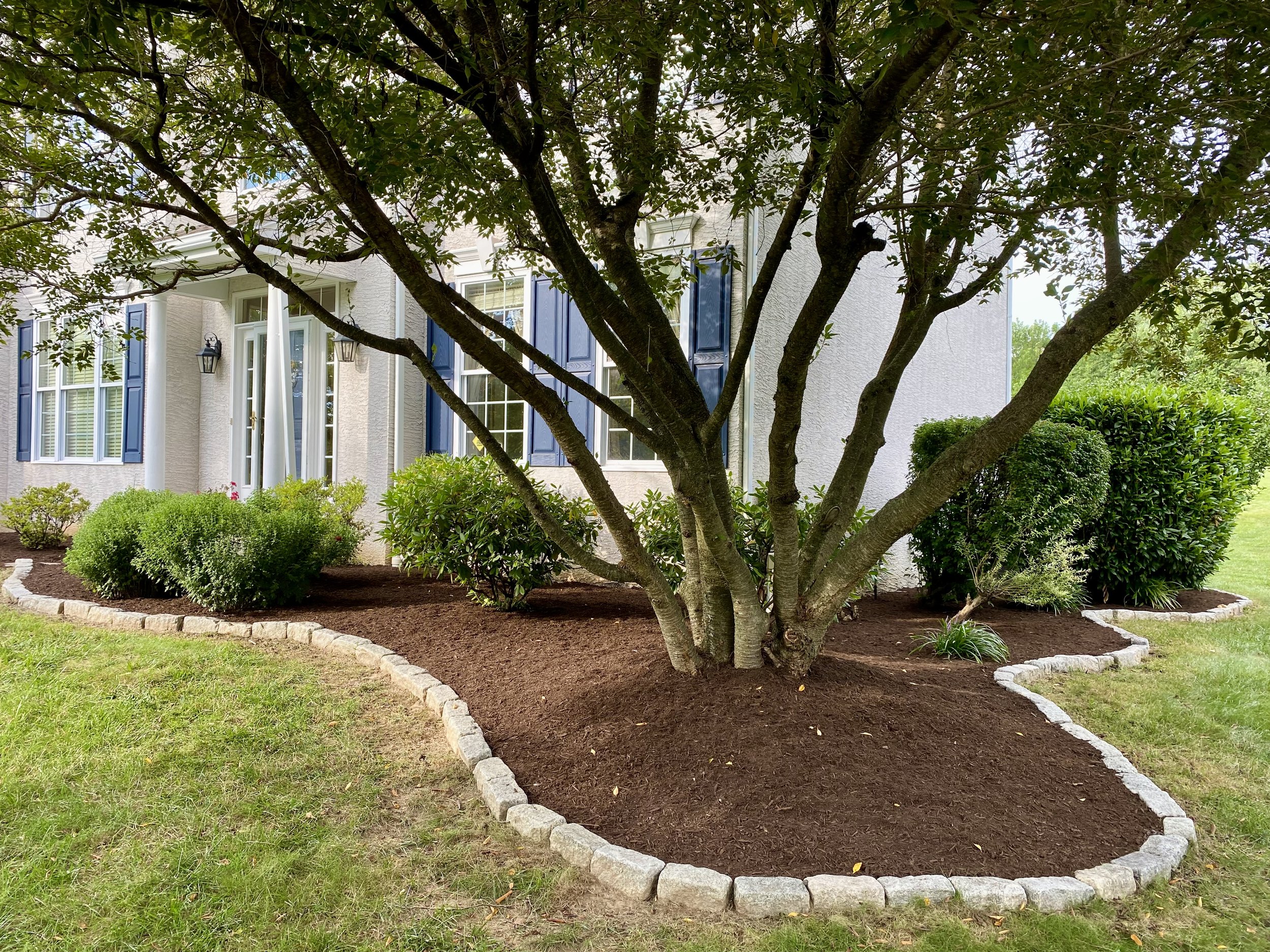 A front yard with a large central tree surrounded by a curved flower bed bordered with stone bricks, filled with mulch and green shrubs and plants. The house in the background has white walls, blue shutters, and white columns.