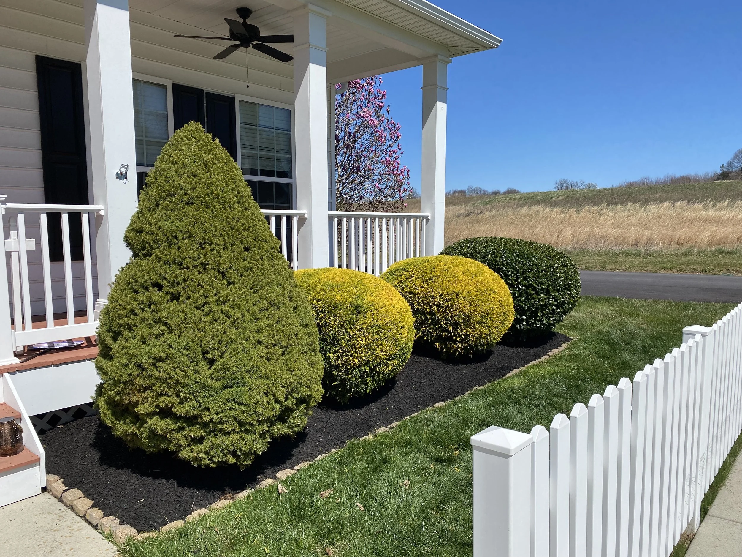 Front yard with neatly trimmed bushes, white picket fence, porch with white railing, and a house with beige siding and black shutters, under a clear blue sky.