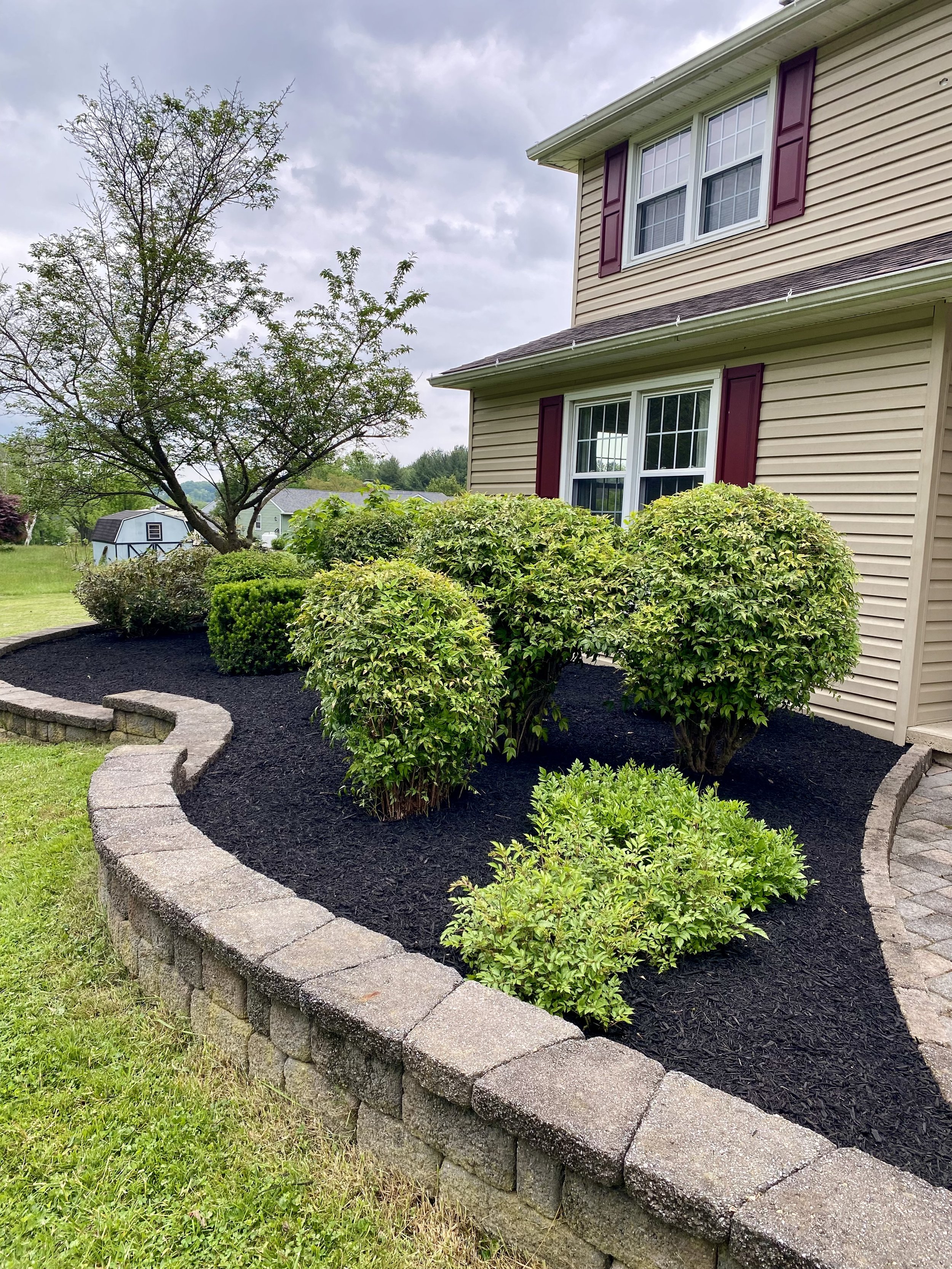 Well-maintained front yard with freshly mulched garden bed, green bushes, and a curved stone border next to a beige house with purple shutters under a cloudy sky.