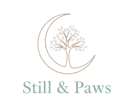 Still &amp; Paws