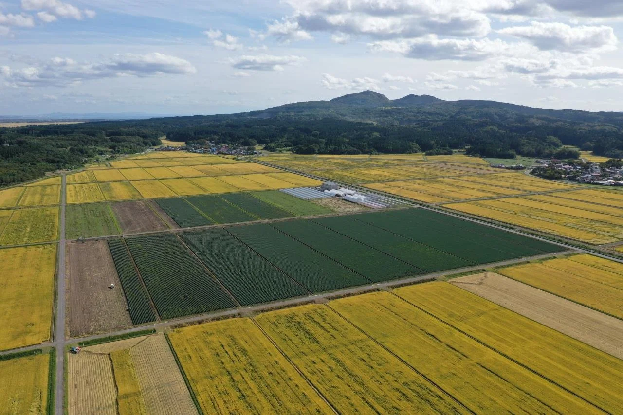 全景（真山方向）.JPG (⁠コピ⁠ー⁠)