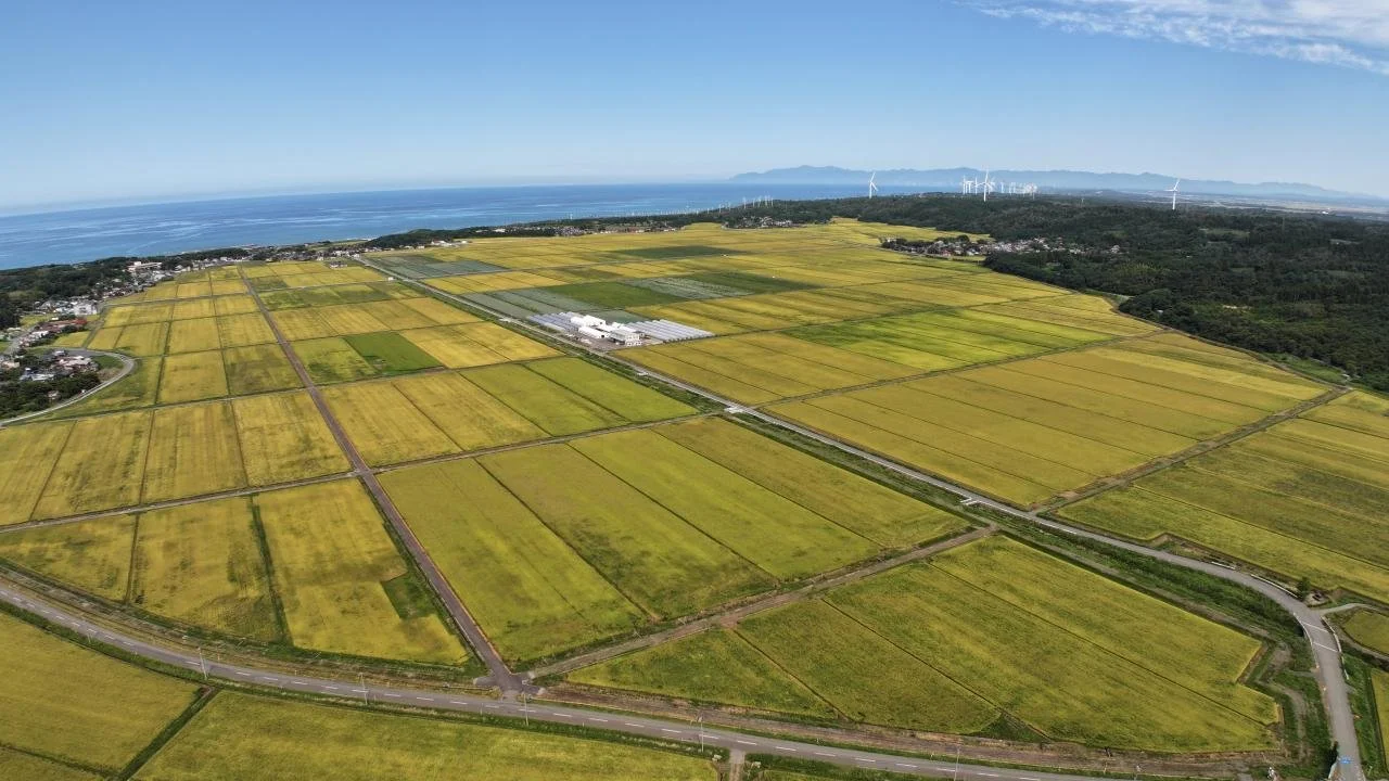 整備後航空写真.JPG (⁠コピ⁠ー⁠)