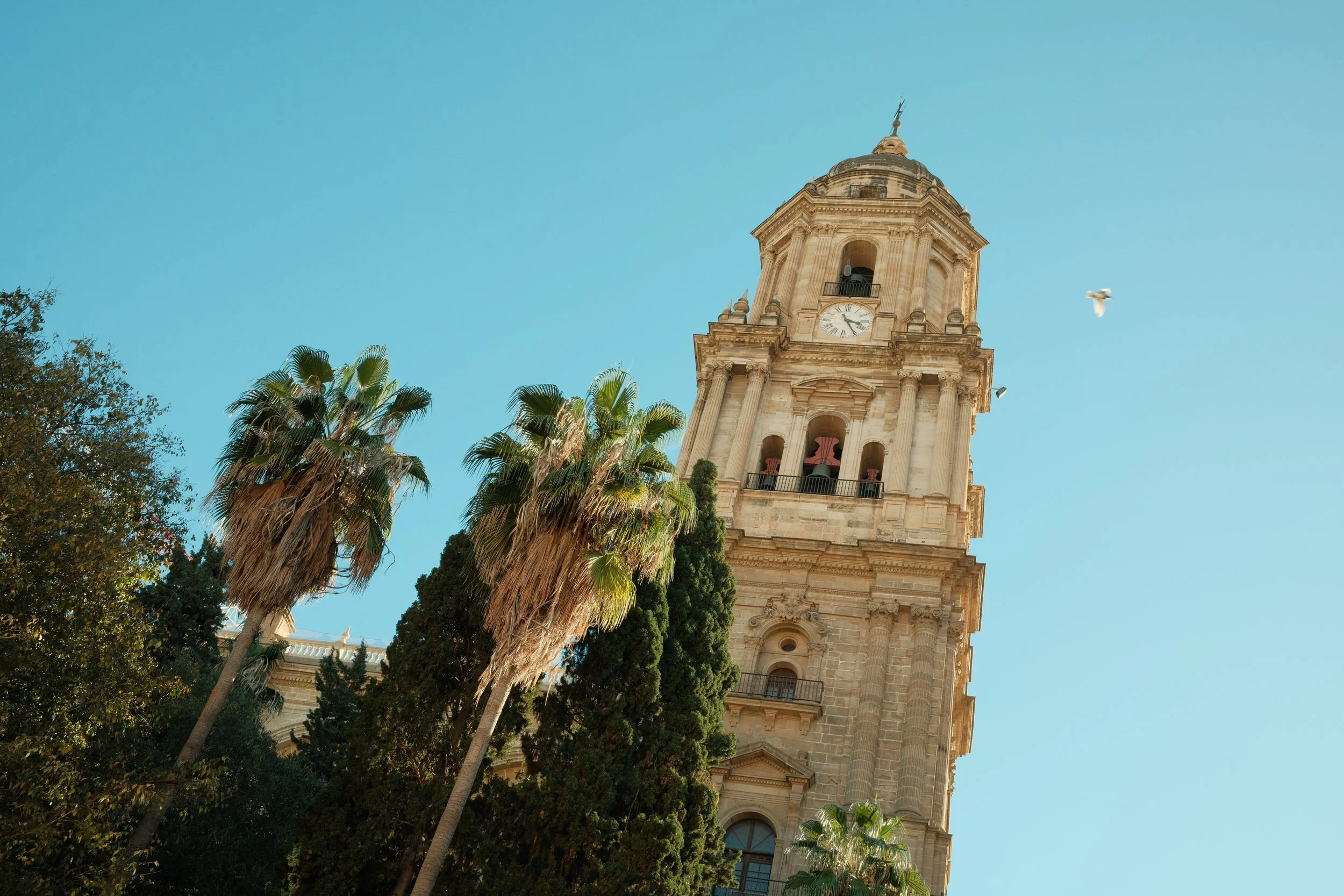 A historic clock tower with a bell and a cross at the top, surrounded by palm trees and green foliage, against a clear blue sky with a bird flying nearby.