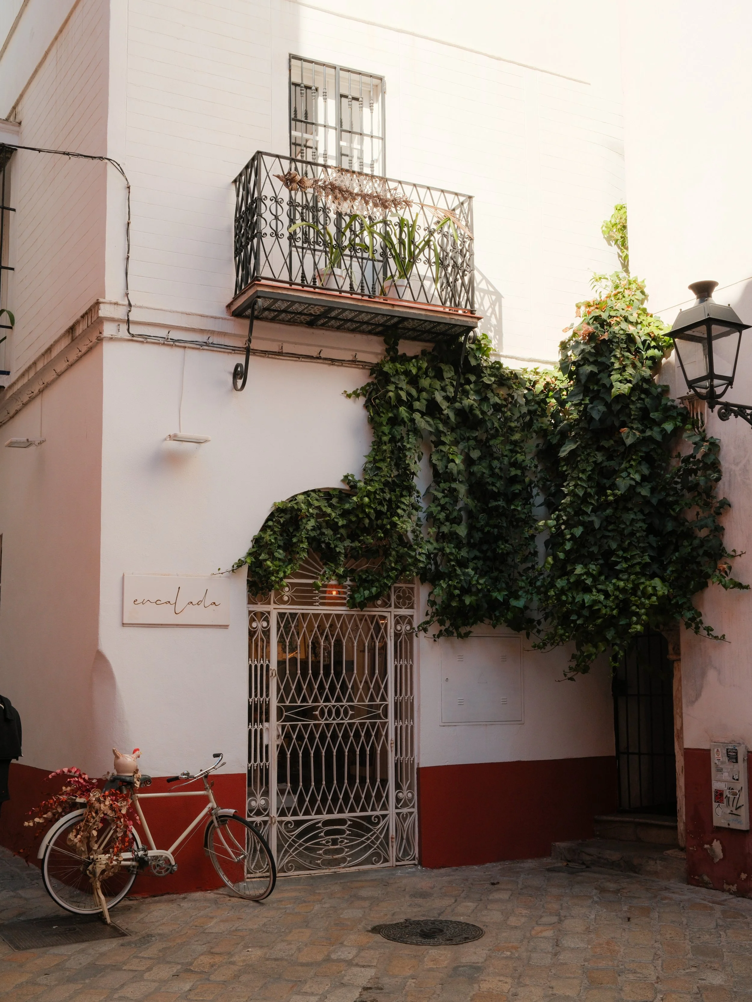 White building with a small balcony with potted plants, climbing ivy, a decorative gate, and a vintage bicycle with floral decorations leaning against the wall.