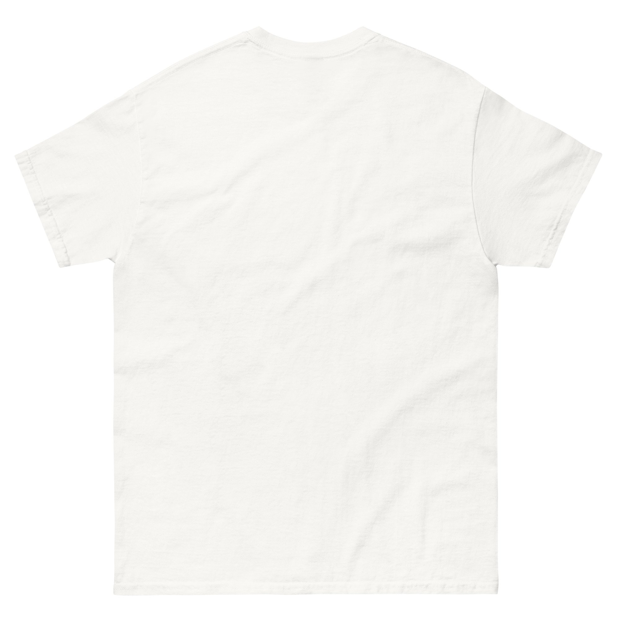 unisex-classic-tee-white-back-6a36b40af10a7.jpg