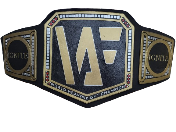 Championship belt with the WWE logo and the words 'World Heavyweight Champion' on the front.