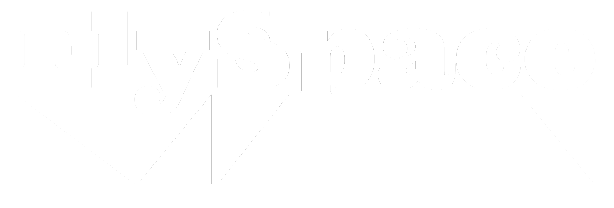 FlySpace Physical Therapy
