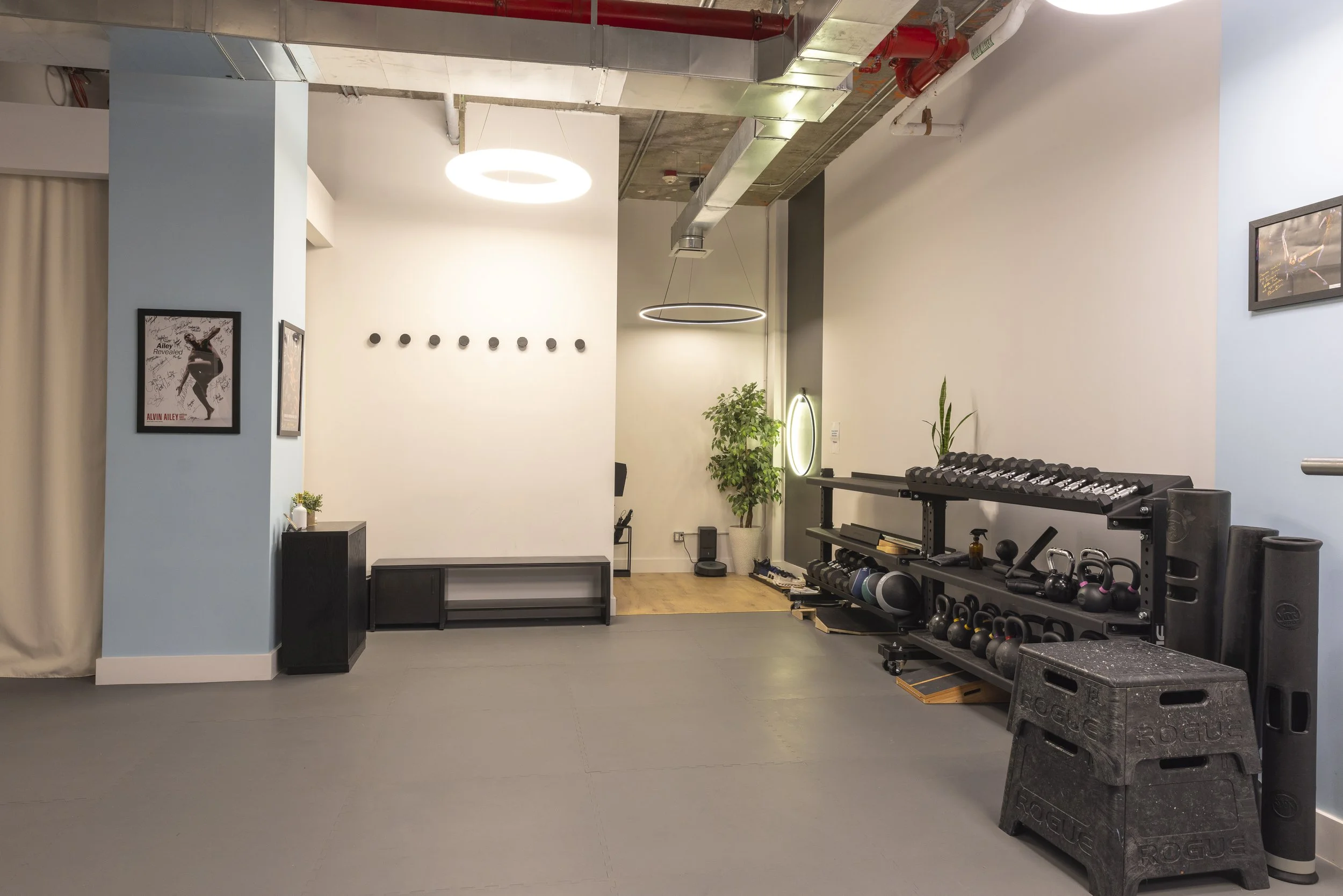 Empty fitness studio with weight racks, kettlebells, medicine balls, and a plyometric box, with framed pictures on the walls and potted plants, in a modern industrial style.