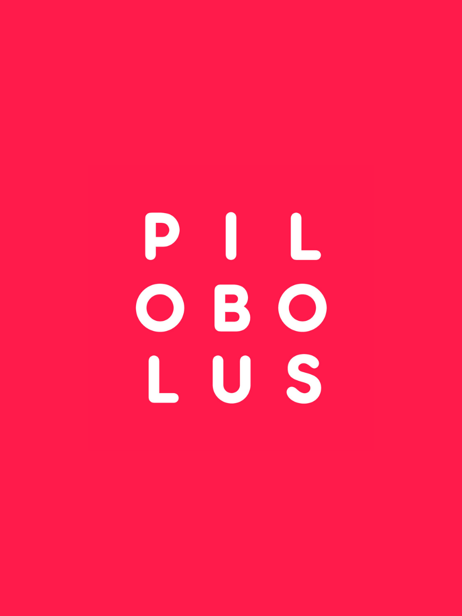 Pilobolus Flyspace PT