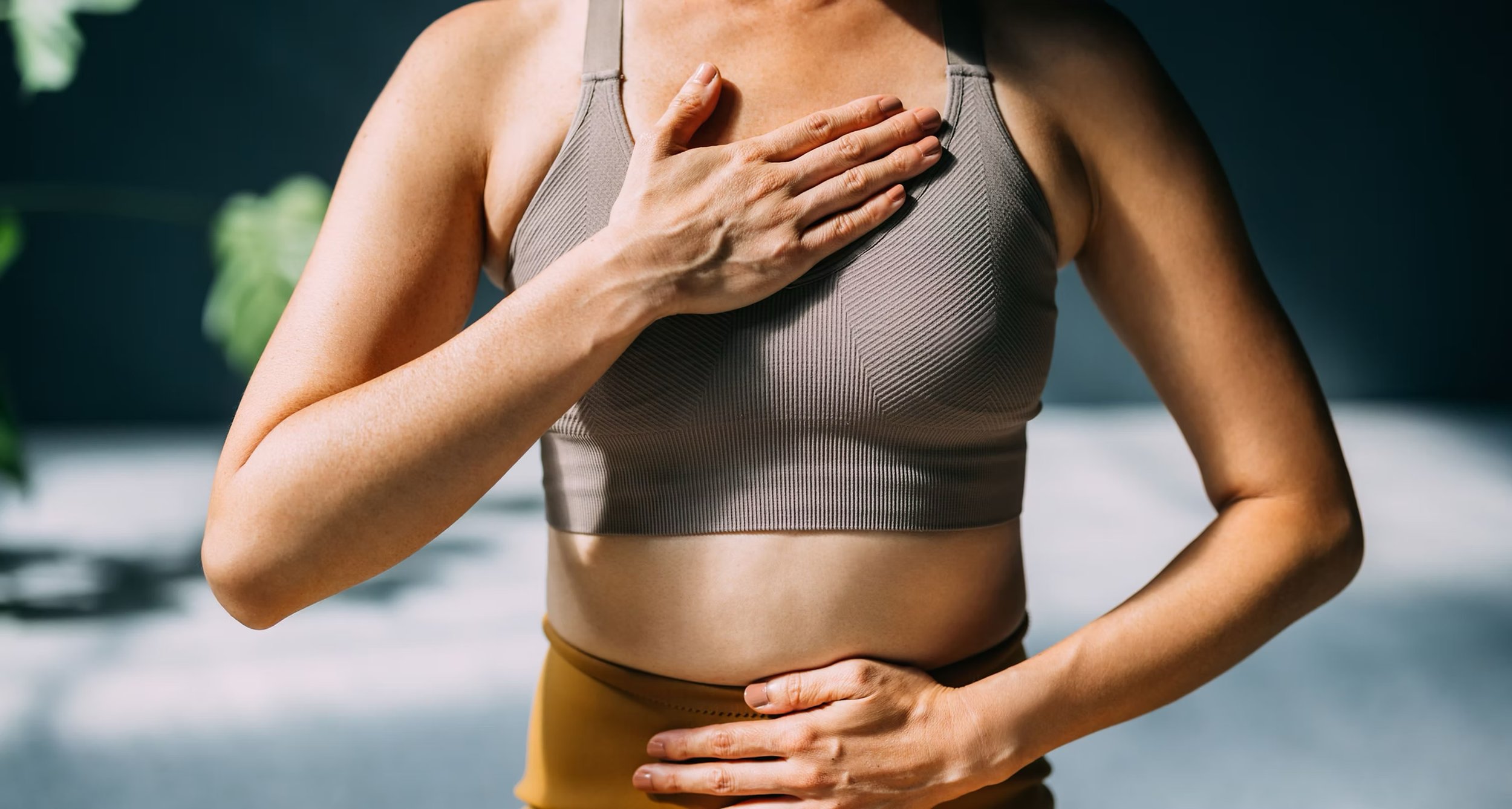 Nervous system regulation by expert strength and conditioning team at FlySpace Physical Therapy in New York.