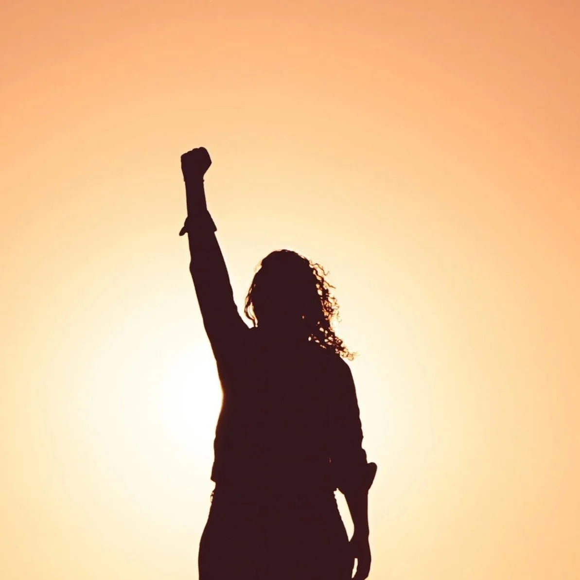 Silhouette of a person with curly hair raising a fist against a sunset sky.