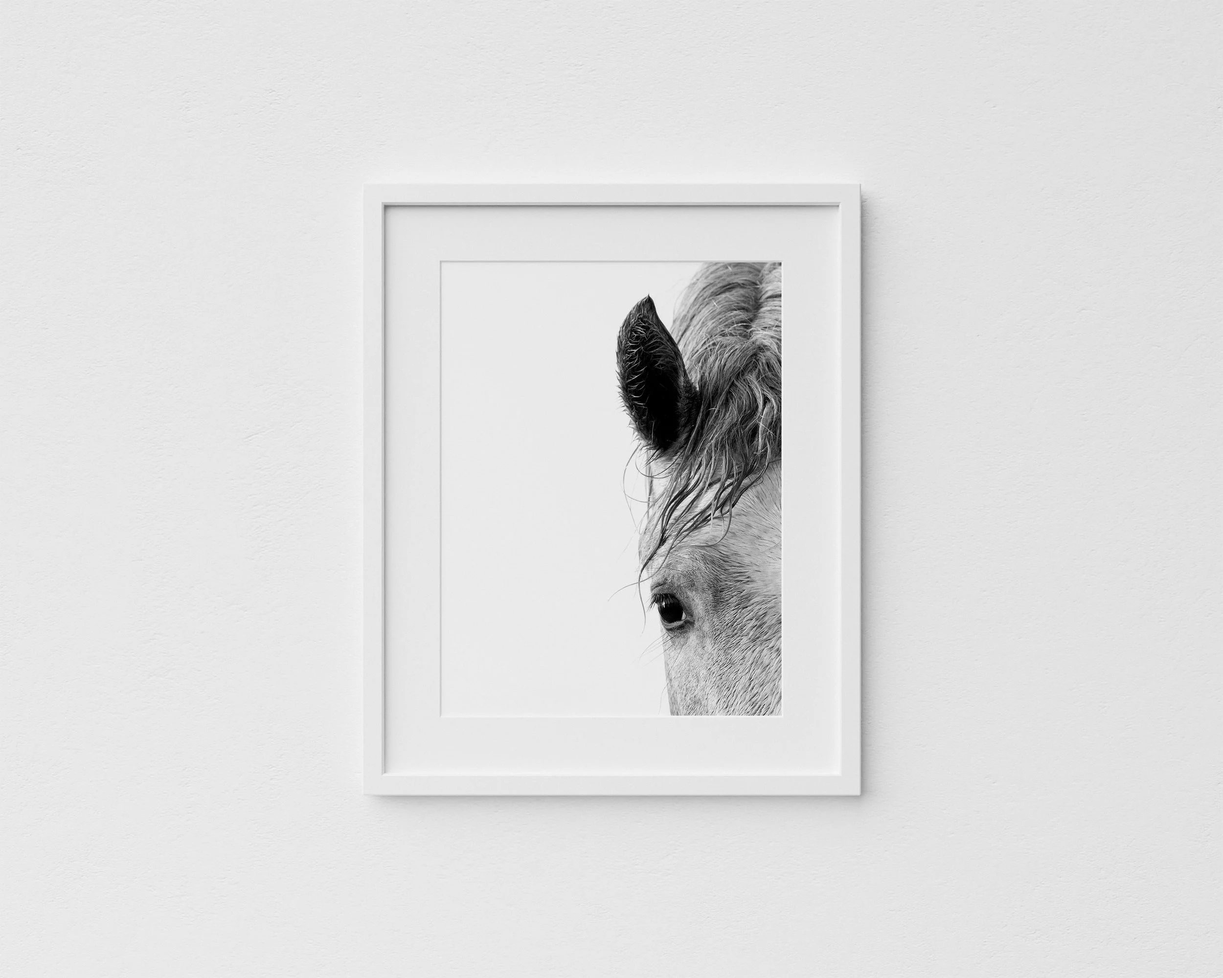 Simpatico (Mid Sized Print)