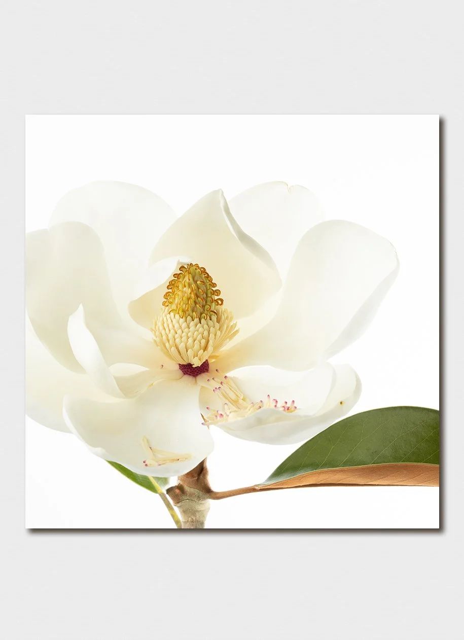 Deluxe Floral Portrait Greeting Cards