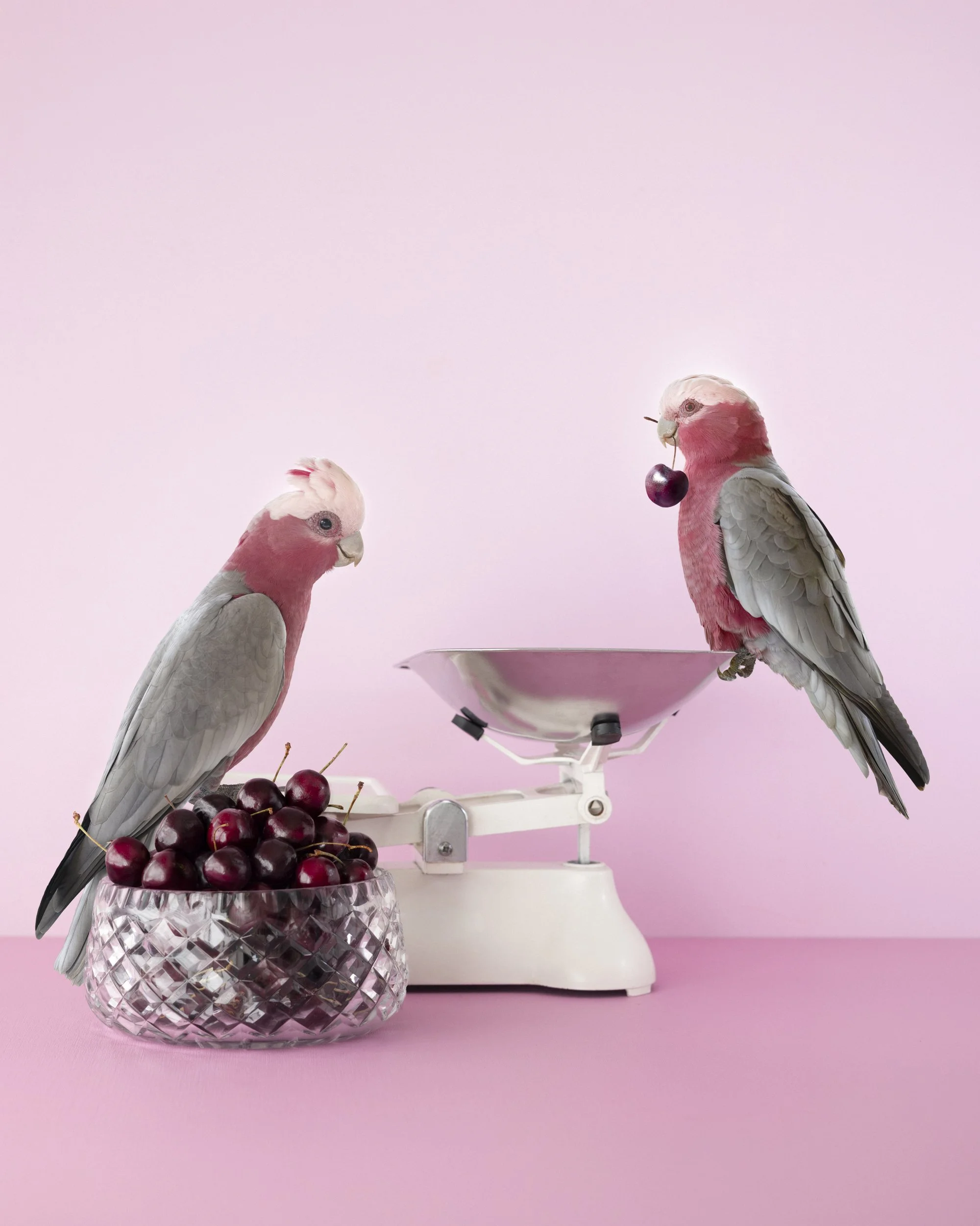 balancing act radio gaga-2.jpg