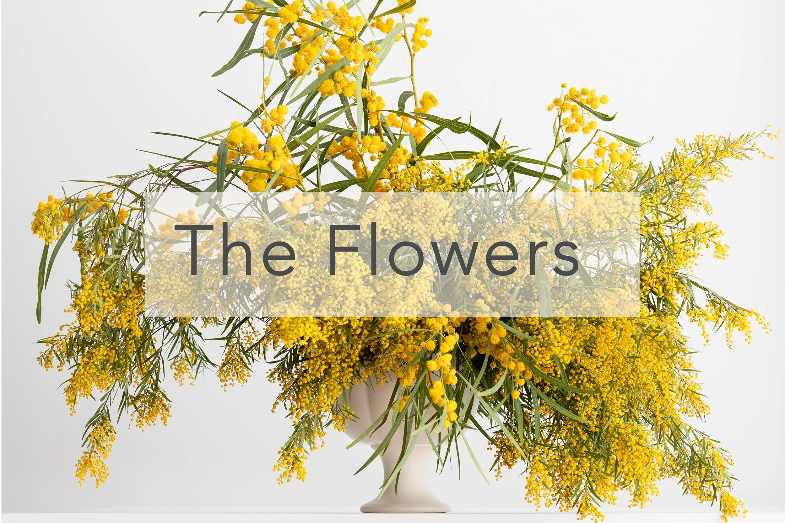 theflowers.jpg