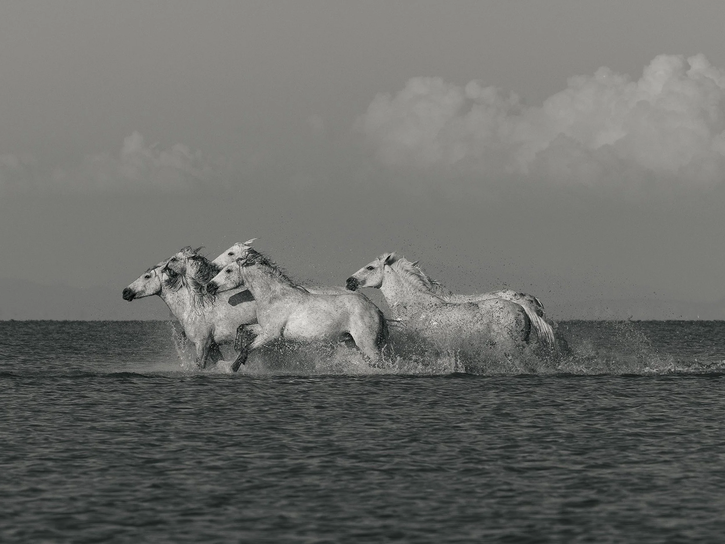 Traverse_full. jpg.jpg