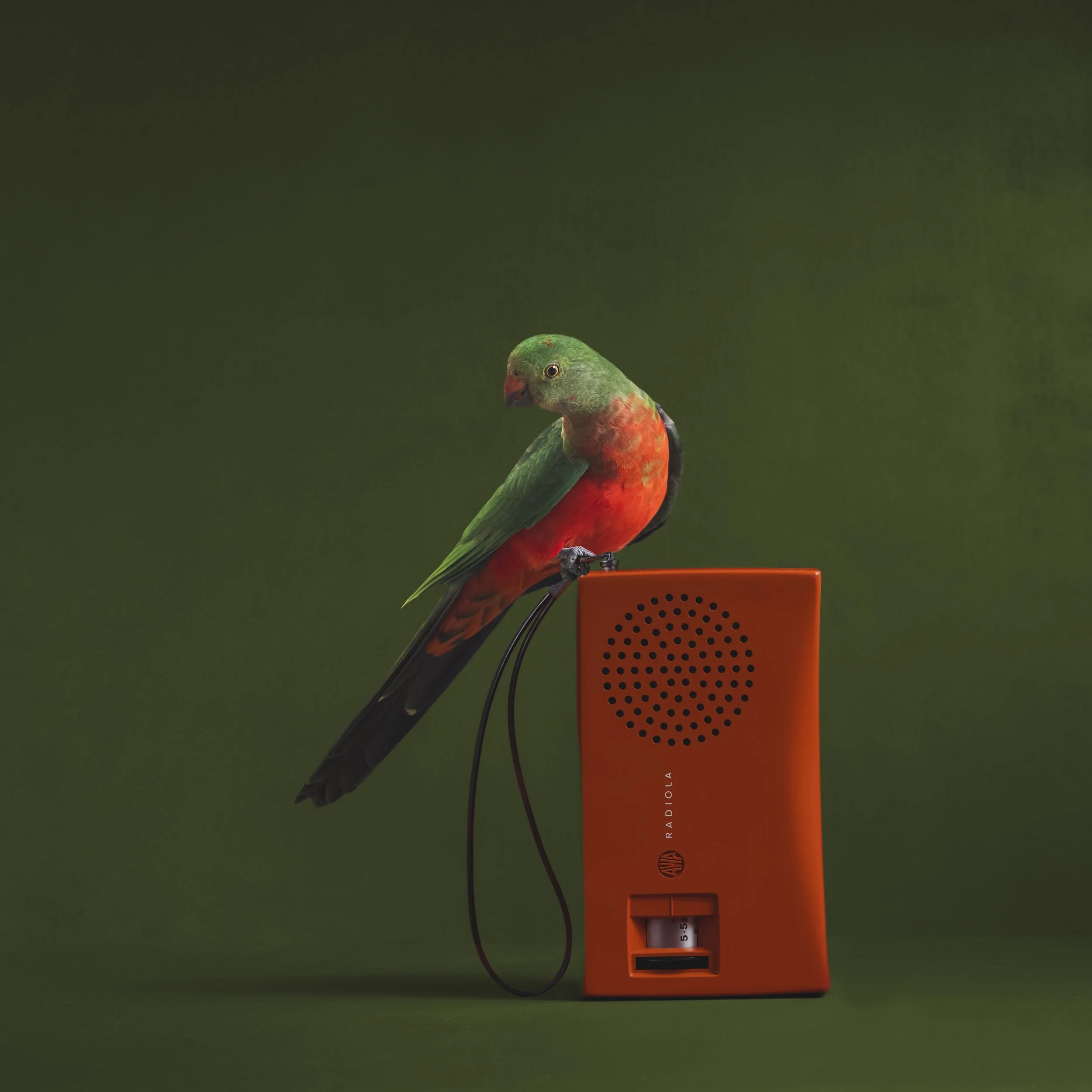 balancing act radio gaga-3.jpg