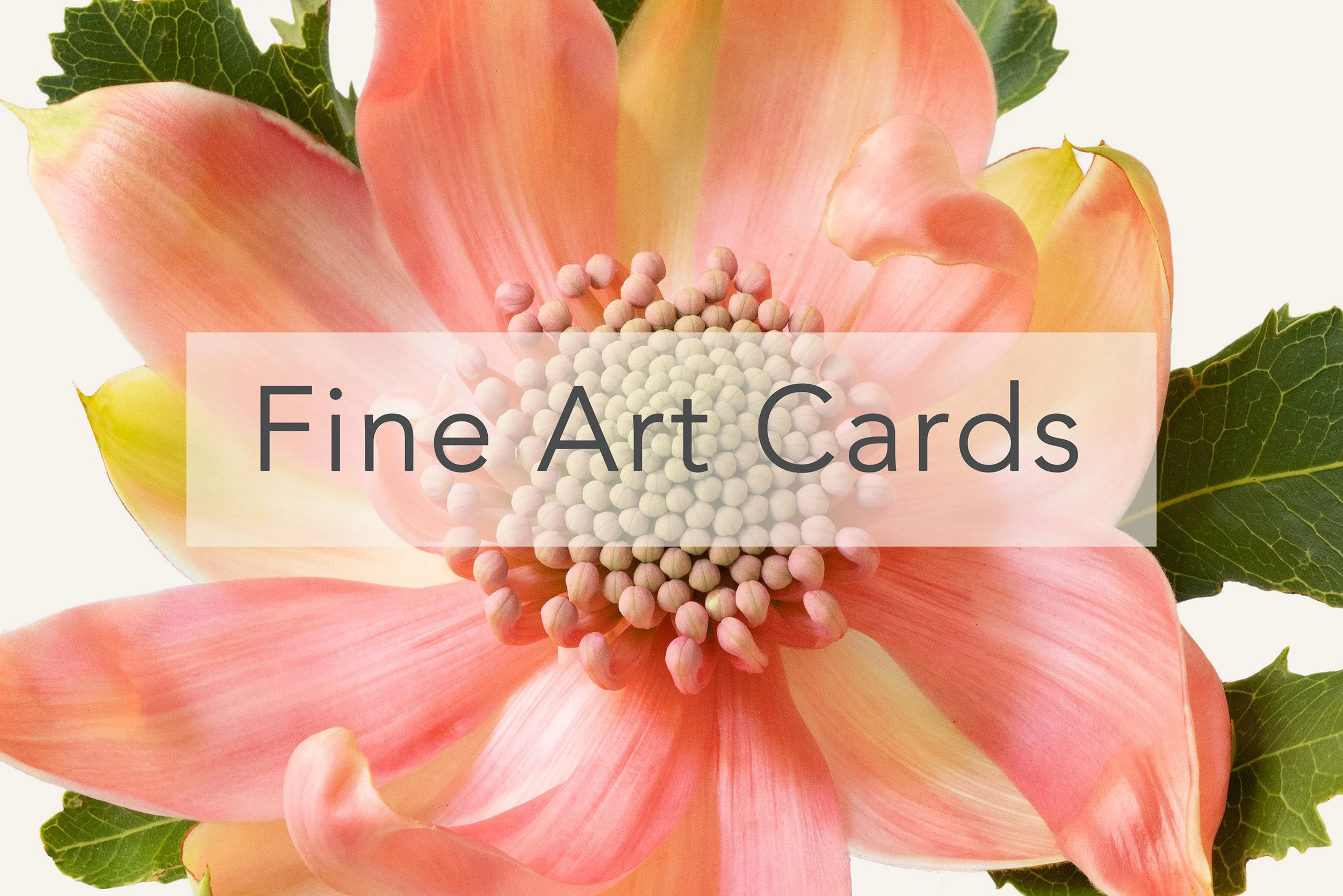 fineartcards.jpg